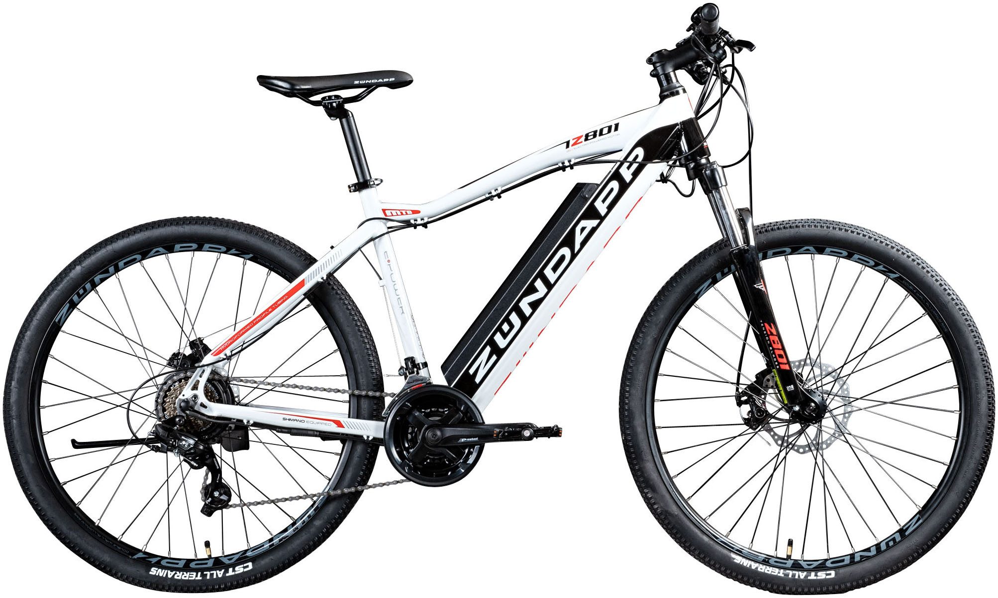 E-Bike Mountainbike Z801
