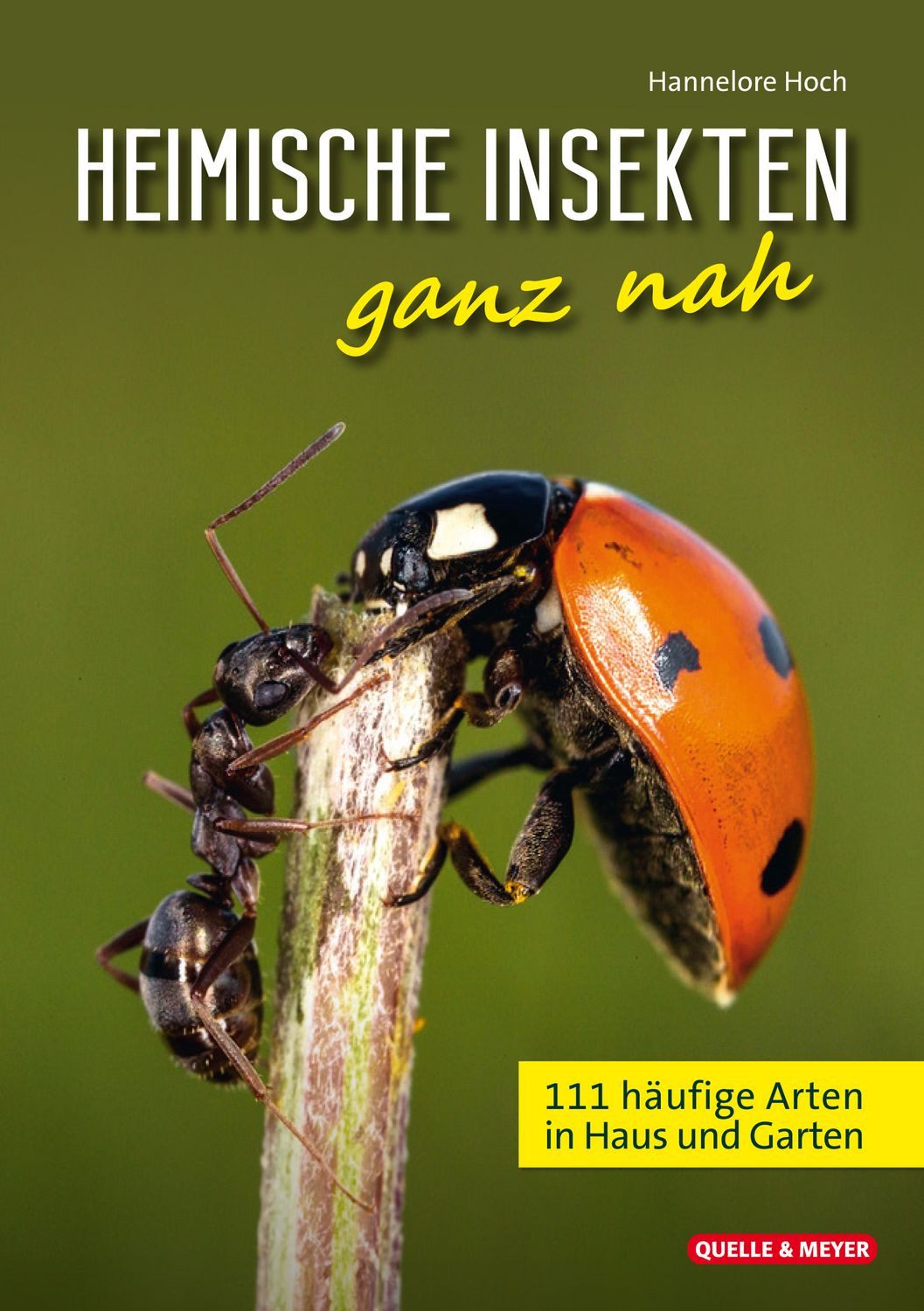Heimische Insekten ganz nah / Hannelore Hoch