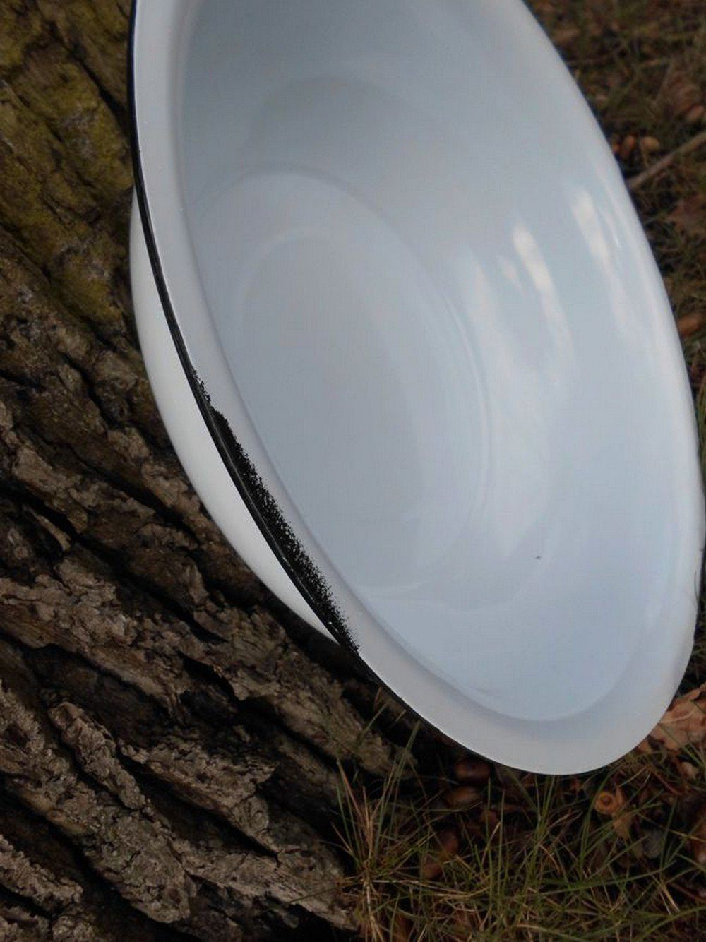 Deko-Impression Dekoschüssel Eisenschale Eisenschüssel Pflanzschale Emaille günstig online kaufen