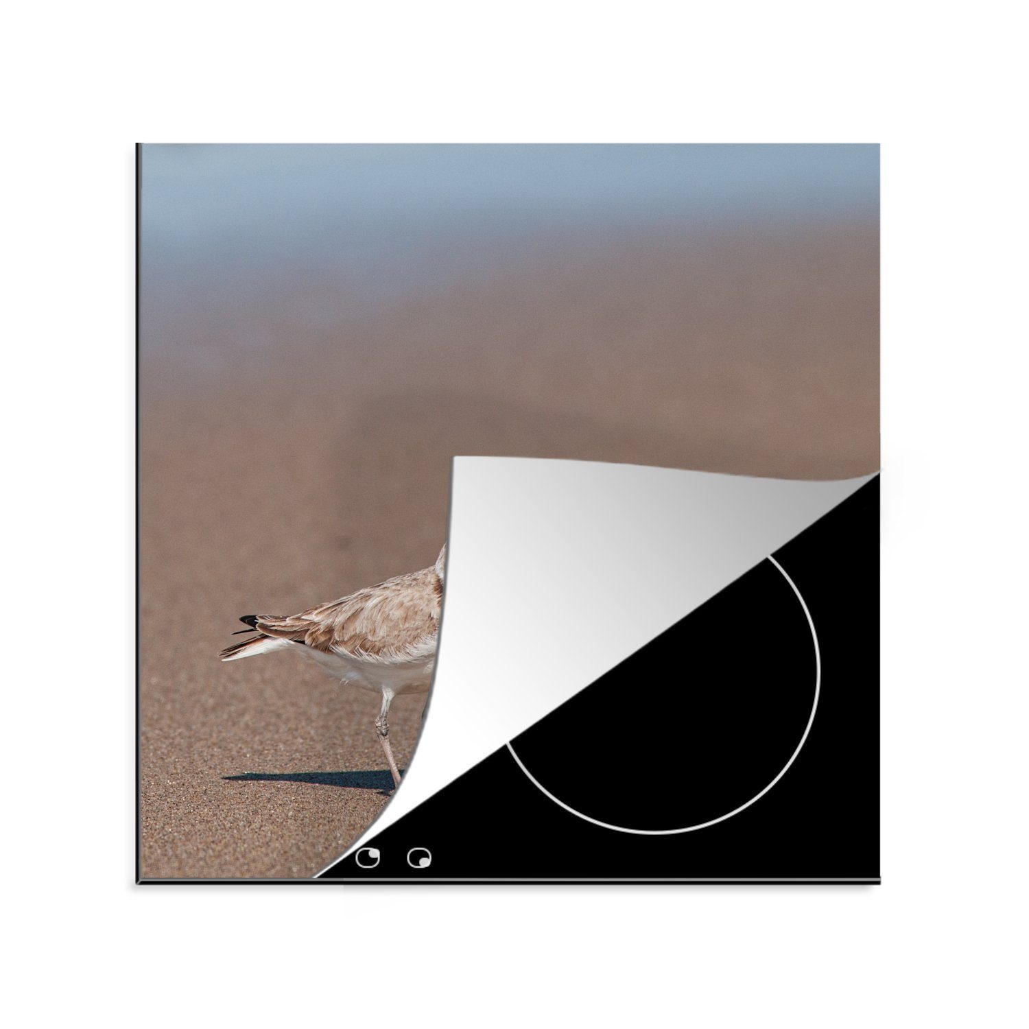 MuchoWow Herdblende-/Abdeckplatte Nahaufnahme eines Seeregenpfeifers, Vinyl, (1 tlg), 78x78 cm, Ceranfeldabdeckung, Arbeitsplatte für küche