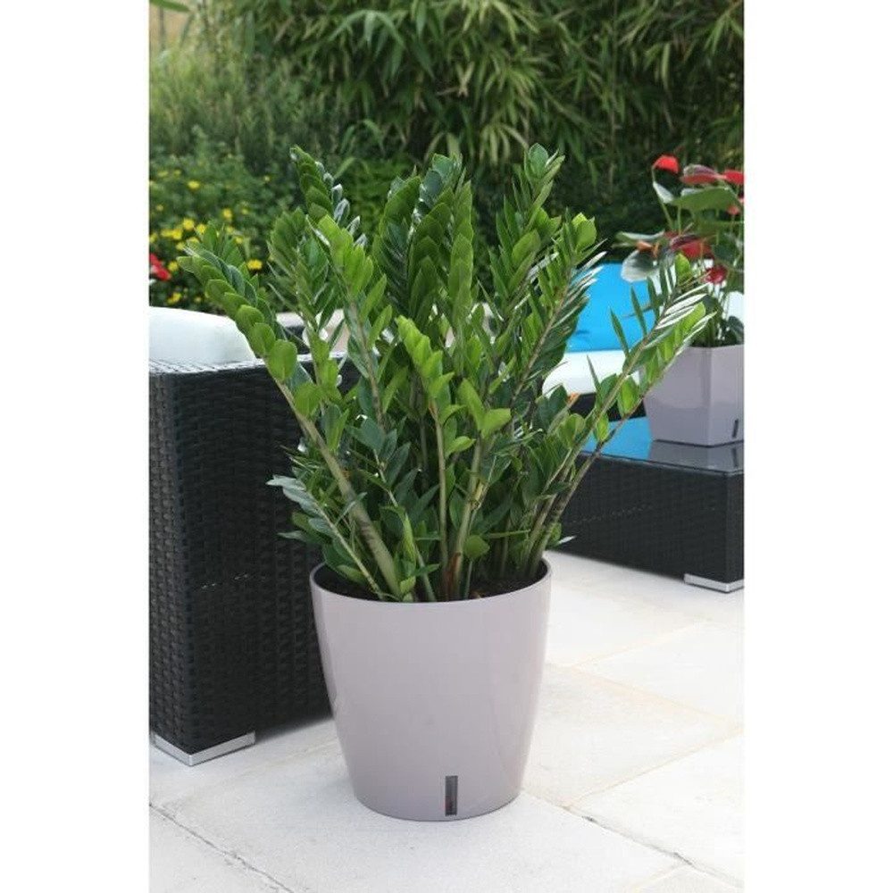 Riviera System Blumentopf Riviera Rundtopf Eva Neu Kunststoff - Ø 46 cm - 49 l - Taupe