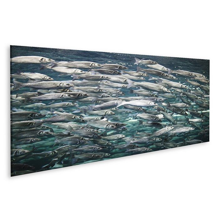 islandburner Leinwandbild Bild auf Leinwand Makrele Viele Fische Unterwasseransicht Wandbild Lei
