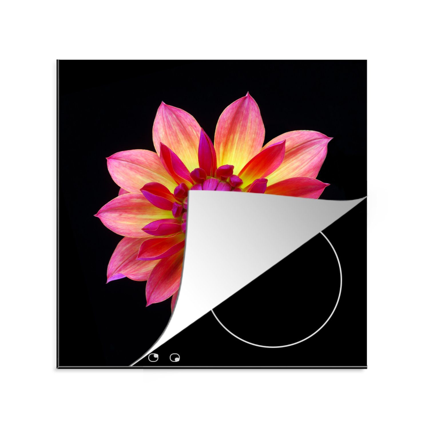 MuchoWow Herdblende-/Abdeckplatte Eine Nahaufnahme der mehrfarbigen Dahlienblüte auf schwarzem, Vinyl, (1 tlg), 78x78 cm, Ceranfeldabdeckung, Arbeitsplatte für küche | Herdabdeckplatten