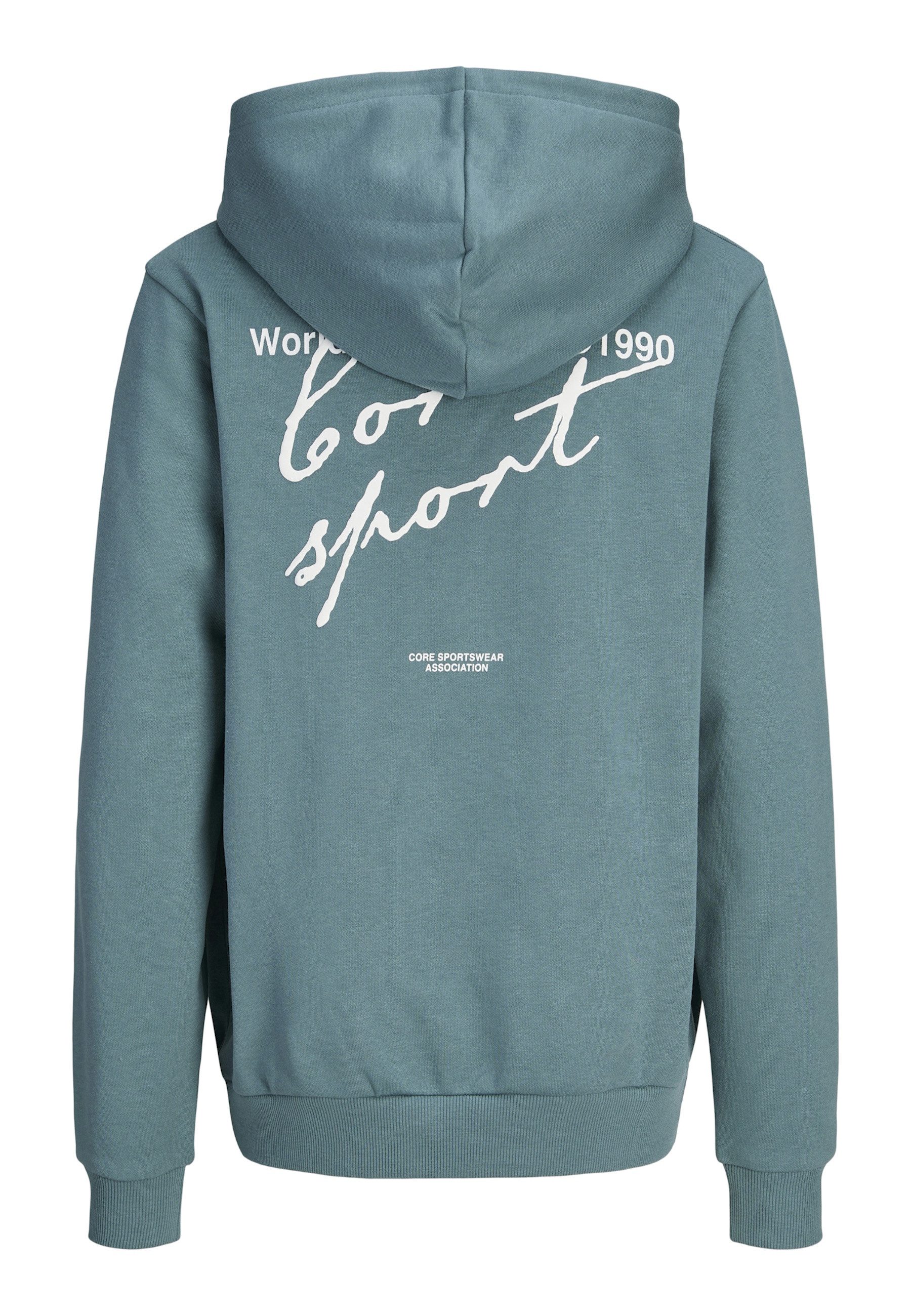 Jack & Jones Junior Hoodie Kapuzenpullover DUST SCRIPT Hoodie (1-tlg)