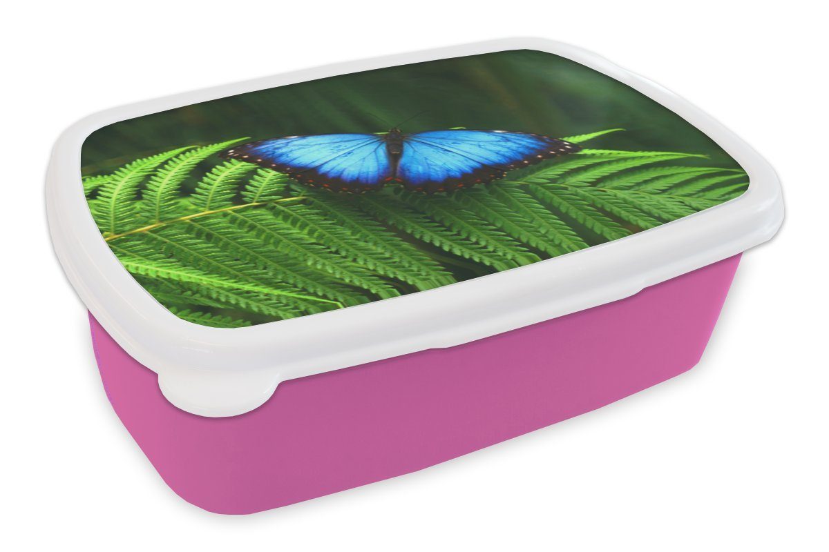 MuchoWow Lunchbox Morpho-Schmetterling, Kunststoff, (2-tlg), Brotbox für Erwachsene, Brotdose Kinder, Snackbox, Mädchen, Kunststoff rosa