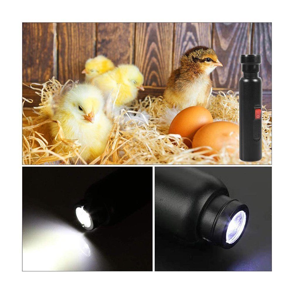 Arbeitsleuchte Rücklicht Brutkästen, Eierleuchter Inkubator TUABUR für LED-Licht