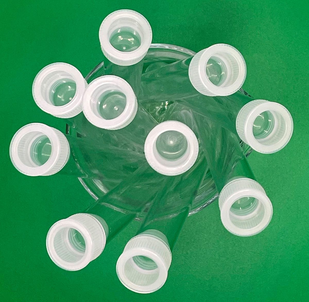 myExperimentSet Experimentierkasten Reagenzgläser aus Kunststoff mit günstig online kaufen