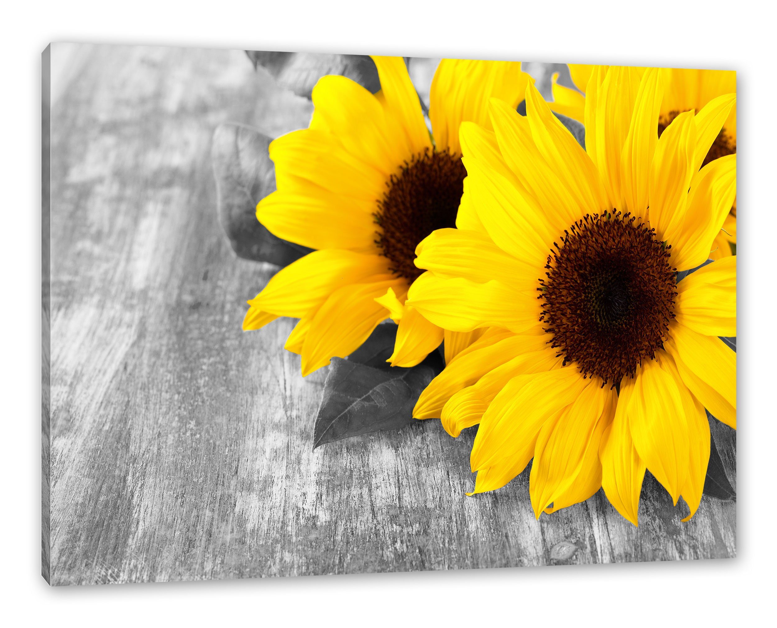 Sonnenblumen Leinwandbild Leinwandbild Pixxprint Holztisch fertig schöne (1 Sonnenblumen schöne inkl. auf St), Holztisch, auf Zackenaufhänger bespannt,