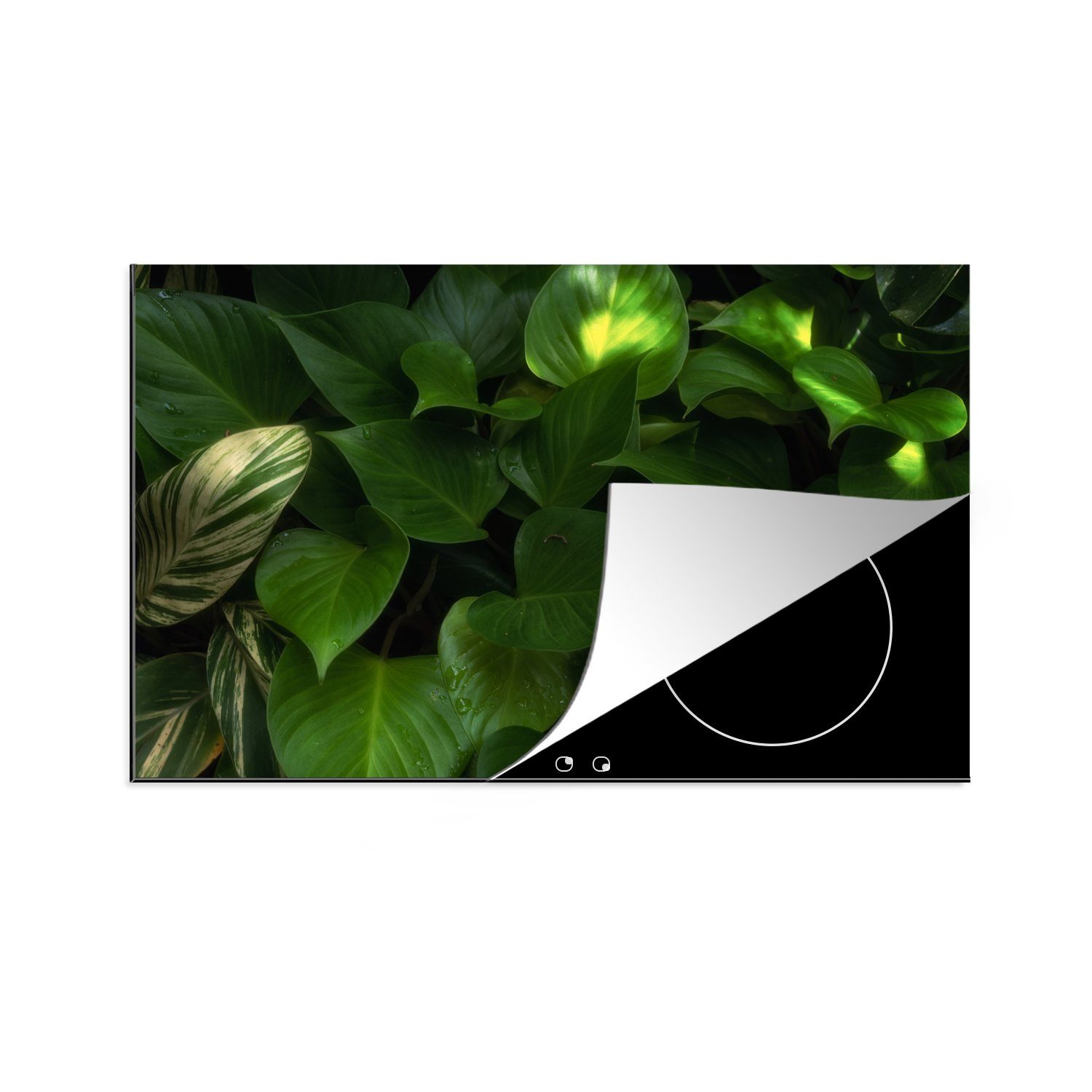 MuchoWow Herdblende-/Abdeckplatte Pflanze - Sonne - Dschungel, Vinyl, (1 tlg), 81x52 cm, Induktionskochfeld Schutz für die küche, Ceranfeldabdeckung