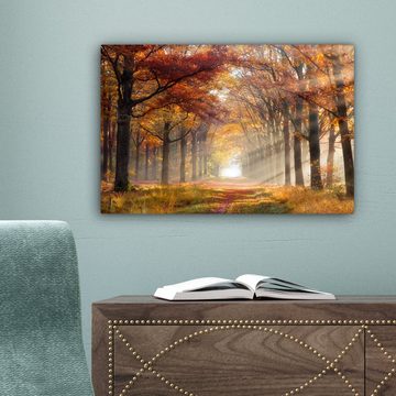 OneMillionCanvasses® Leinwandbild Herbst - Wald - Baum, (1 St), Wandbild Leinwandbilder, Aufhängefertig, Wanddeko, 30x20 cm