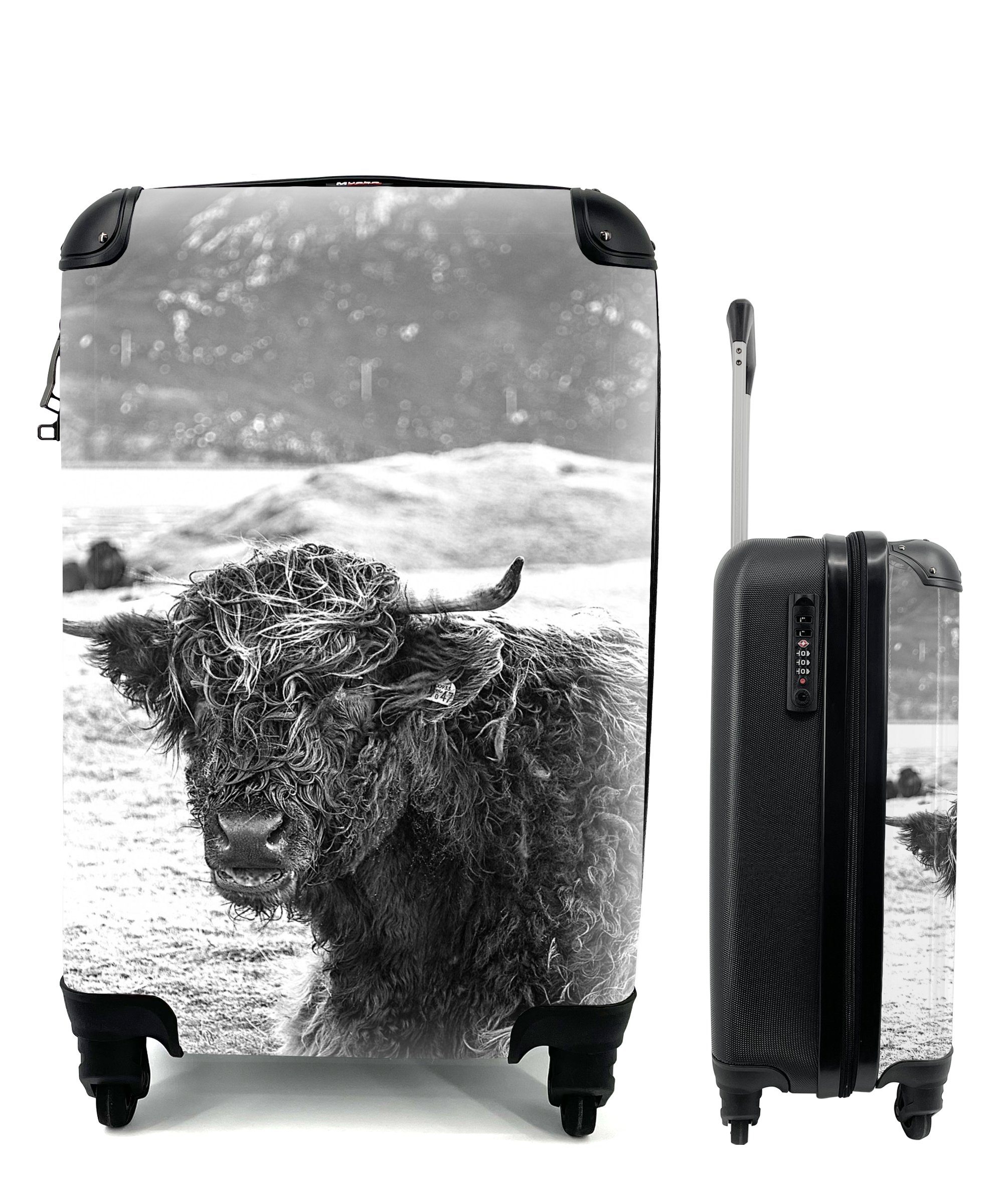 Reisetasche MuchoWow mit Tiere, Berg Ferien, Handgepäck - für Trolley, Handgepäckkoffer Reisekoffer Highlander - Rollen, 4 Schottischer rollen,