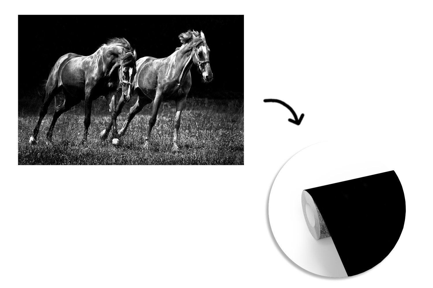 Pferde bedruckt, Weiß, Fototapete MuchoWow Schlafzimmer, Vinyl St), Matt, Wallpaper Kinderzimmer, für - Schwarz - Gras Tapete - (8 Wohnzimmer,