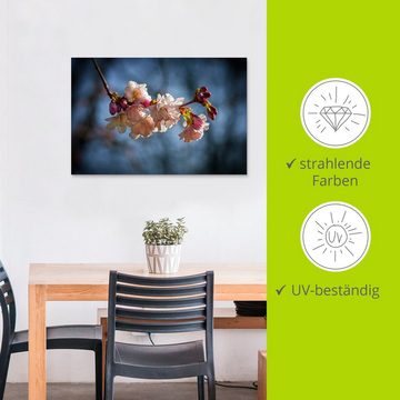 Artland Alu-Dibond-Druck Kirschblüte im Frühling, Blumenbilder (1 St), für Innen- und Außenbereich geeignet, Outdoorbild