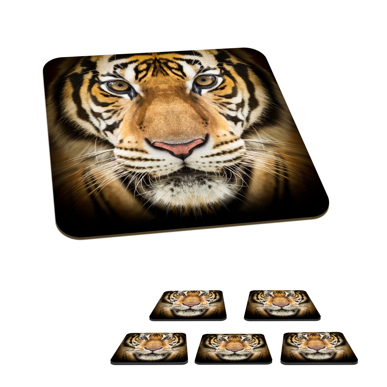 MuchoWow Glasuntersetzer Tiger - Tier - Porträt, Zubehör für Gläser, 6-tlg., Glasuntersetzer, Tischuntersetzer, Korkuntersetzer, Untersetzer, Tasse