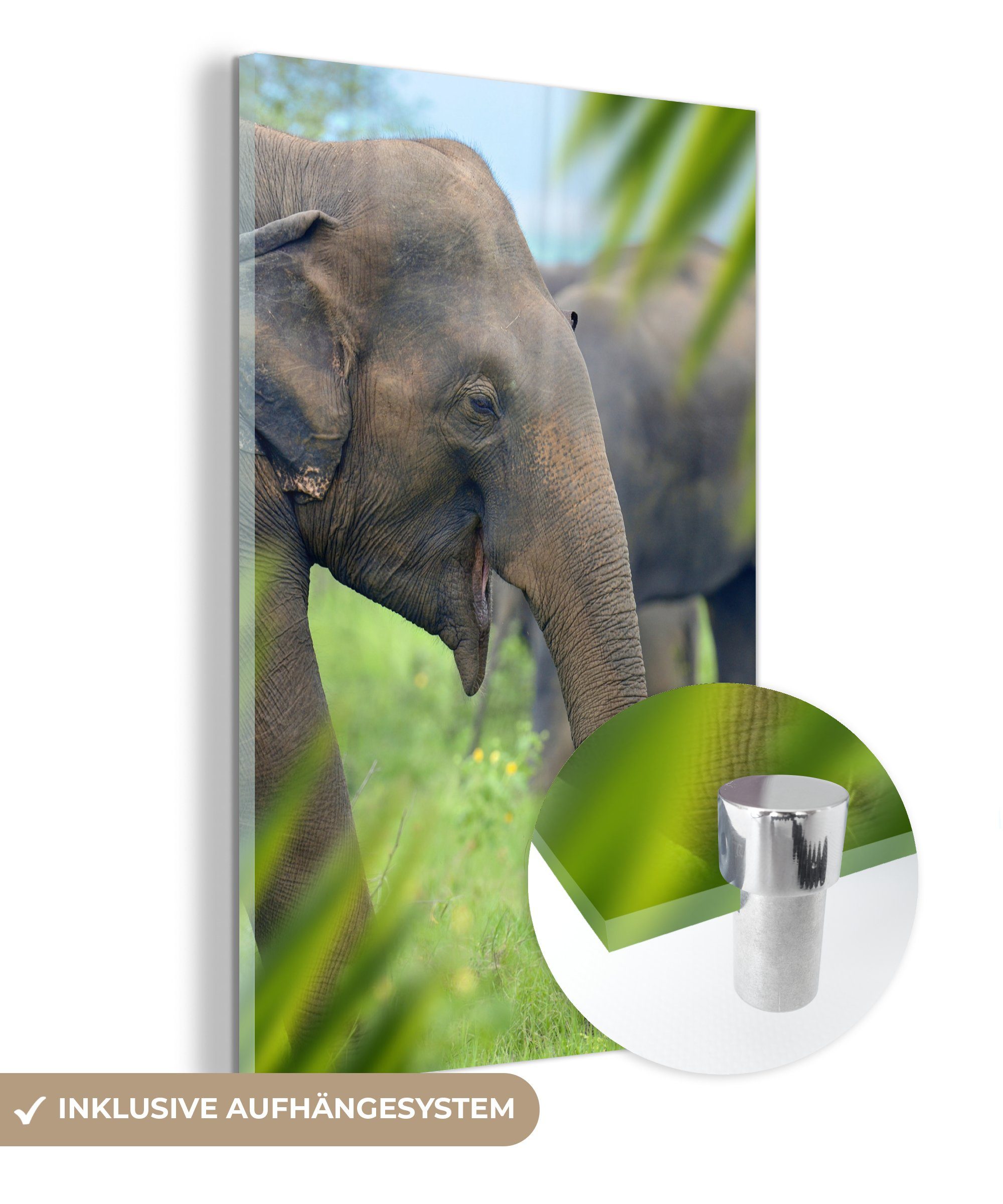 MuchoWow Acrylglasbild Elefant - Palme - Tiere, (1 St), Glasbilder - Bilder auf Glas Wandbild - Foto auf Glas - Wanddekoration