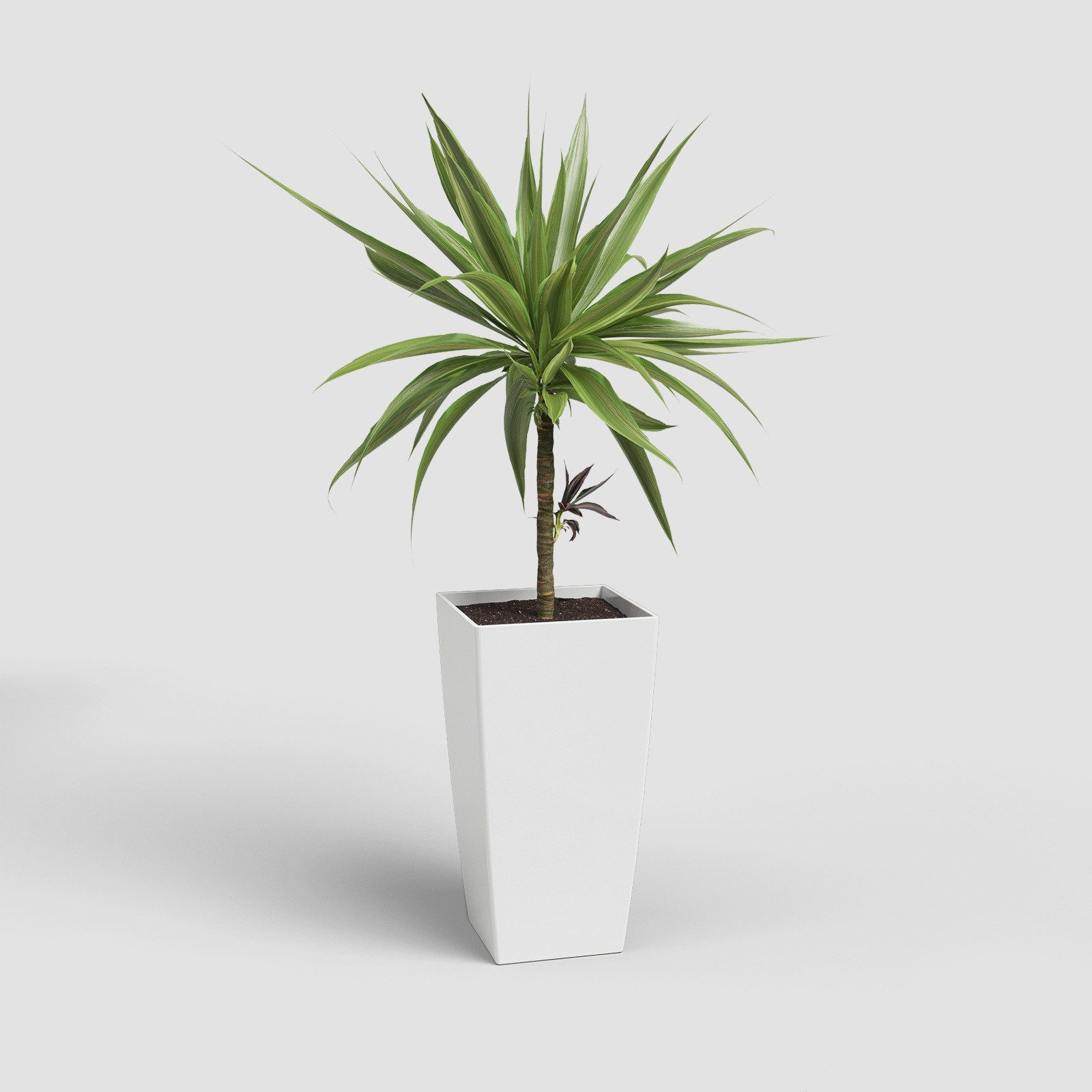 Artevasi Übertopf Blumentopf PISA Blanco Quadratisch UV-beständig Frostsicher 41cm