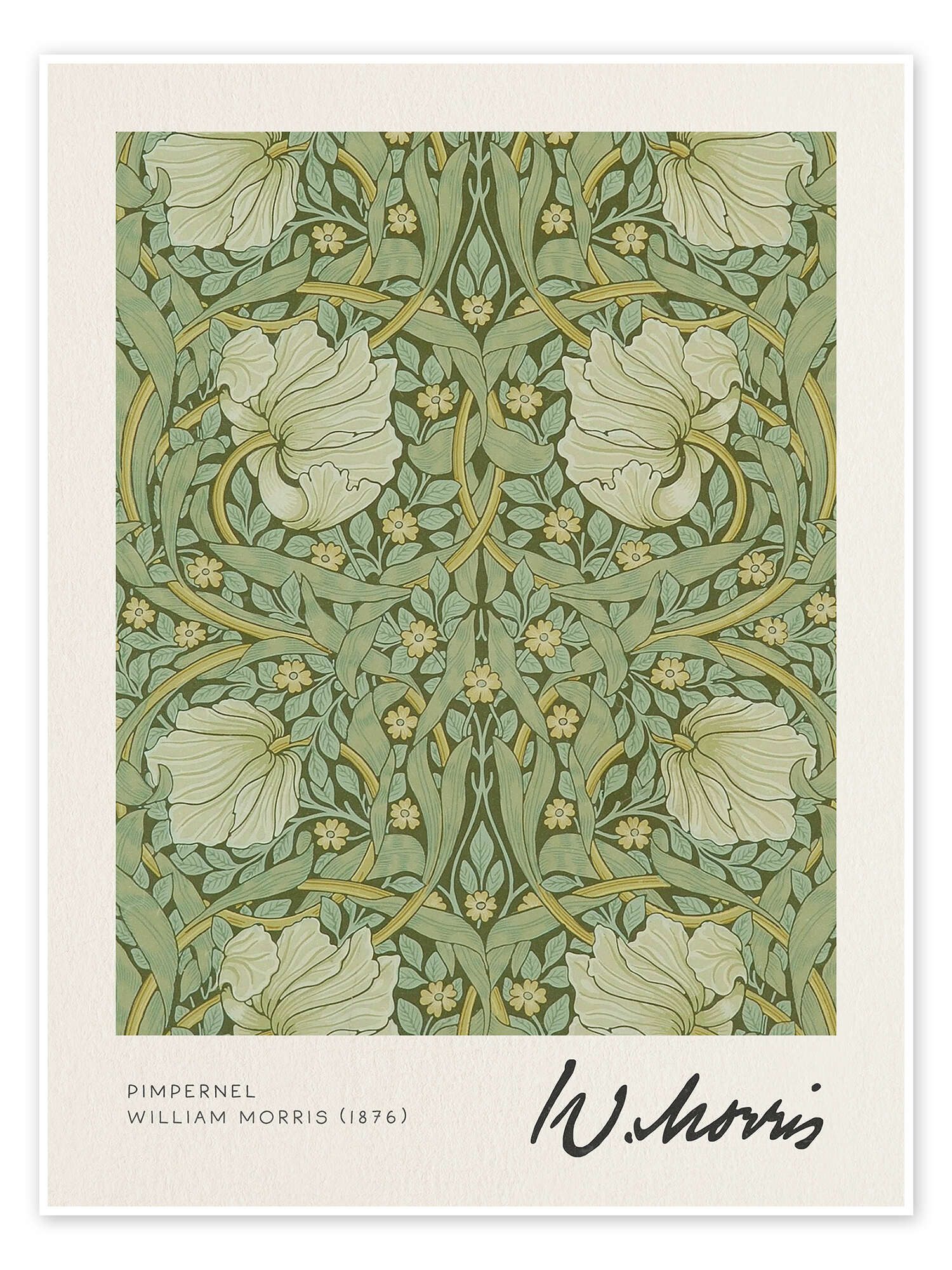 Posterlounge Wandbild Pimpernel, William Morris, erhältlich als Poster, Leinwandbild, Wandsticker oder Acrylglasbild