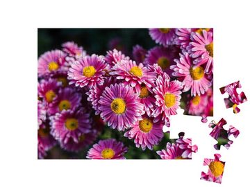 puzzleYOU Puzzle Chrysanthemen im Herbst, 48 Puzzleteile, puzzleYOU-Kollektionen Flora, Blumen, Pflanzen, Blumen & Pflanzen