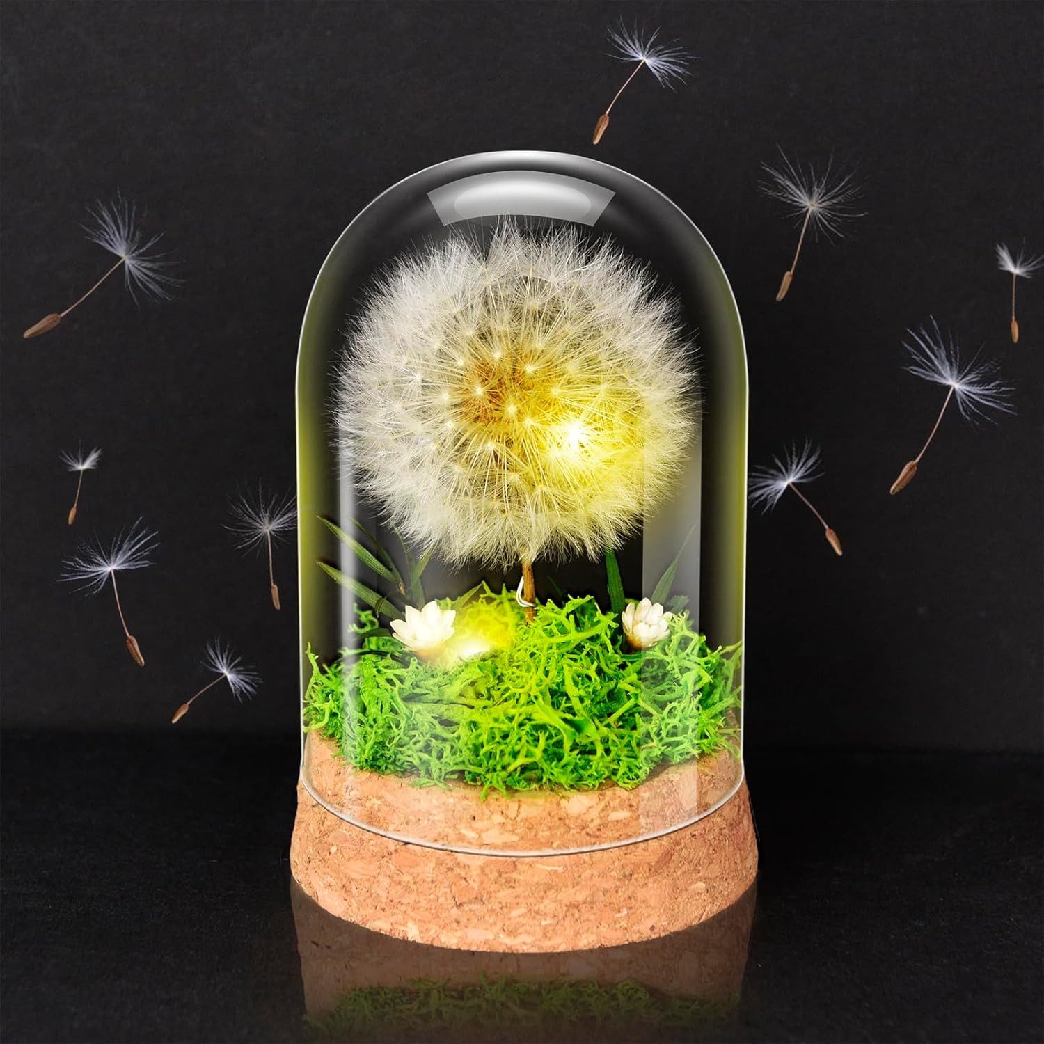 Geschenkbox LED Wunscherfüller Pusteblume im Glas für Mama Oma Freundin