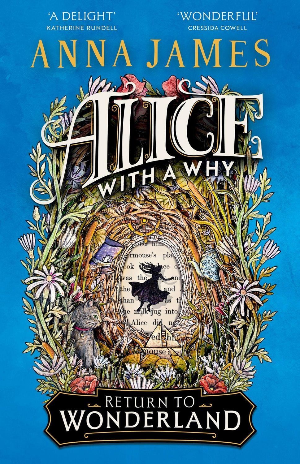 Alice With a Why / Anna James