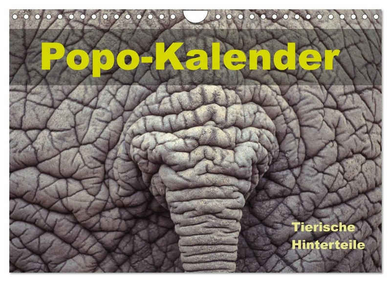 CALVENDO Wandkalender Popo-Kalender (Wandkalender 2024 DIN A4 quer), CALVENDO Monatskalender