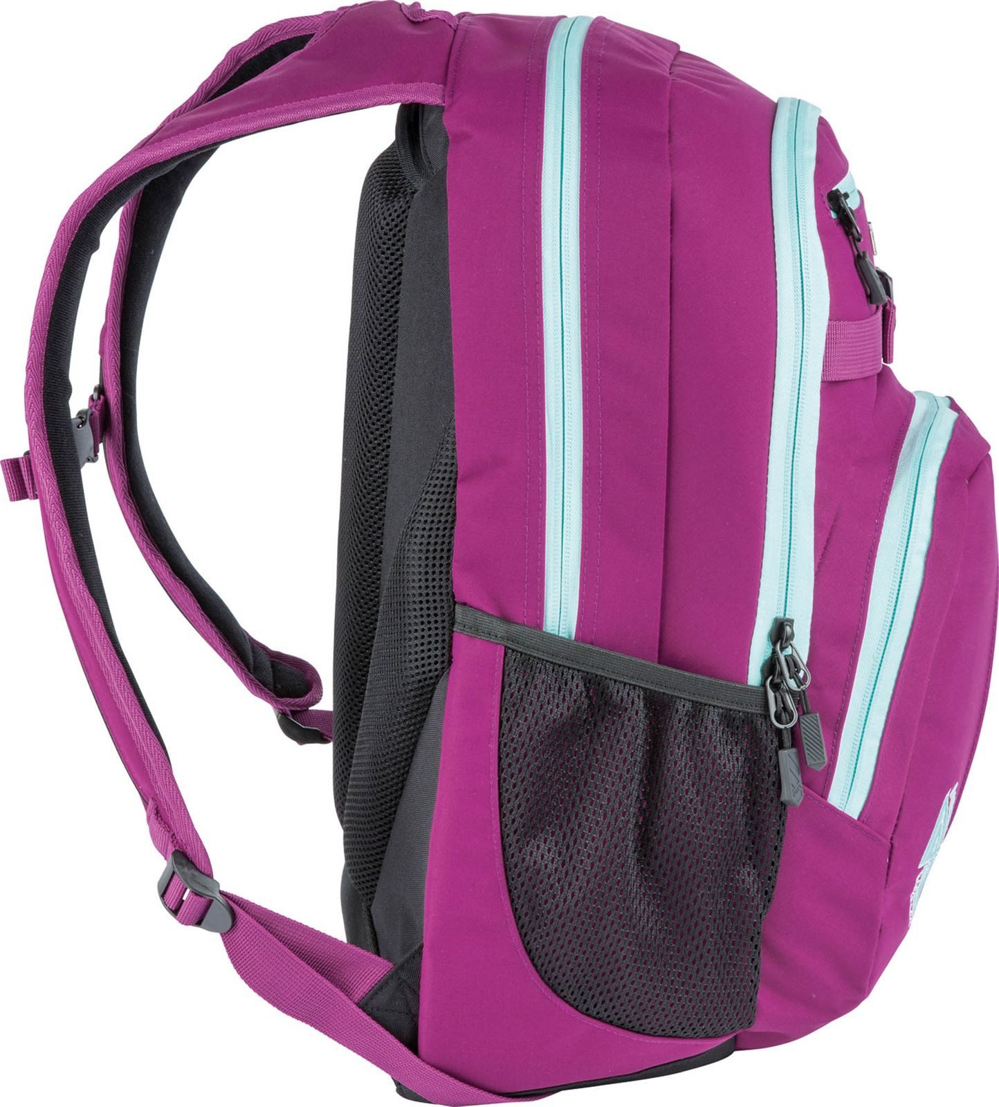 NITRO Rucksack Chase Backpack günstig online kaufen