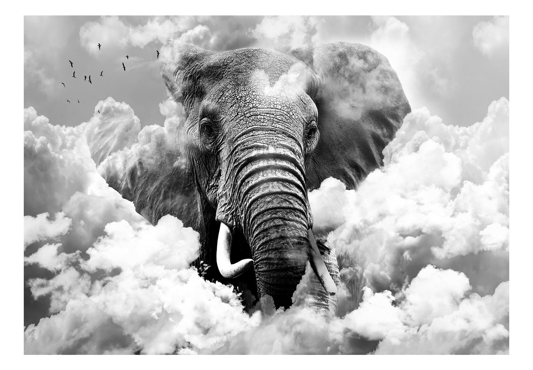 White) (Black Design Elephant the Vliestapete KUNSTLOFT lichtbeständige and 1x0.7 m, halb-matt, Tapete Clouds in