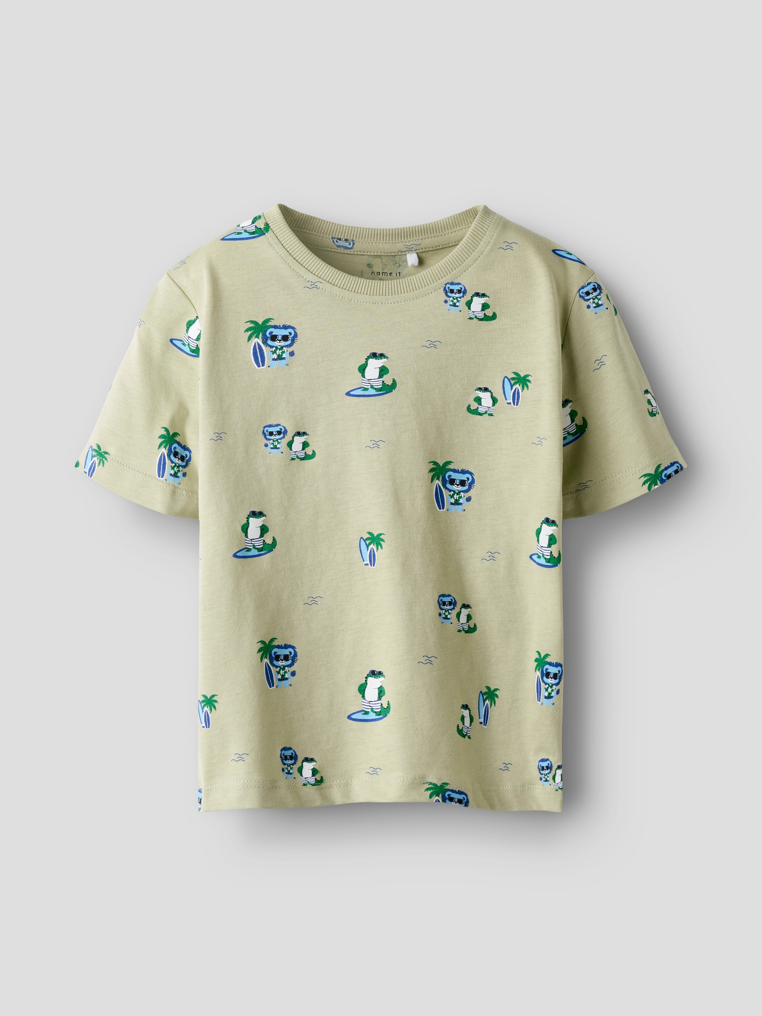 Name It Kurzarmshirt NMMJAXON SS NREG TOP BOX PB