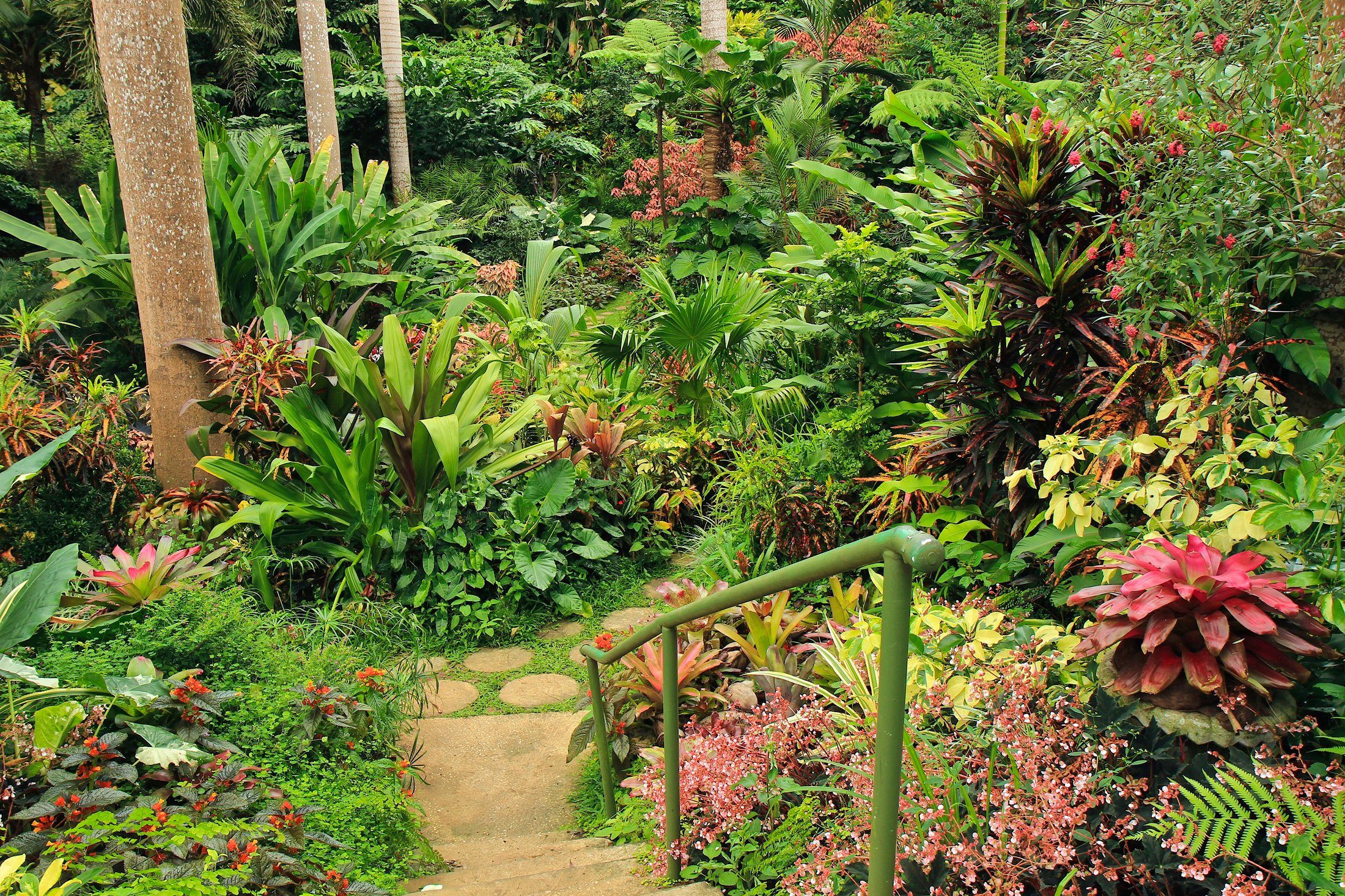 Papermoon Fototapete PFLANZEN PARK STEINE BÄUME GARTEN-BLUMEN BLÜTEN WALD