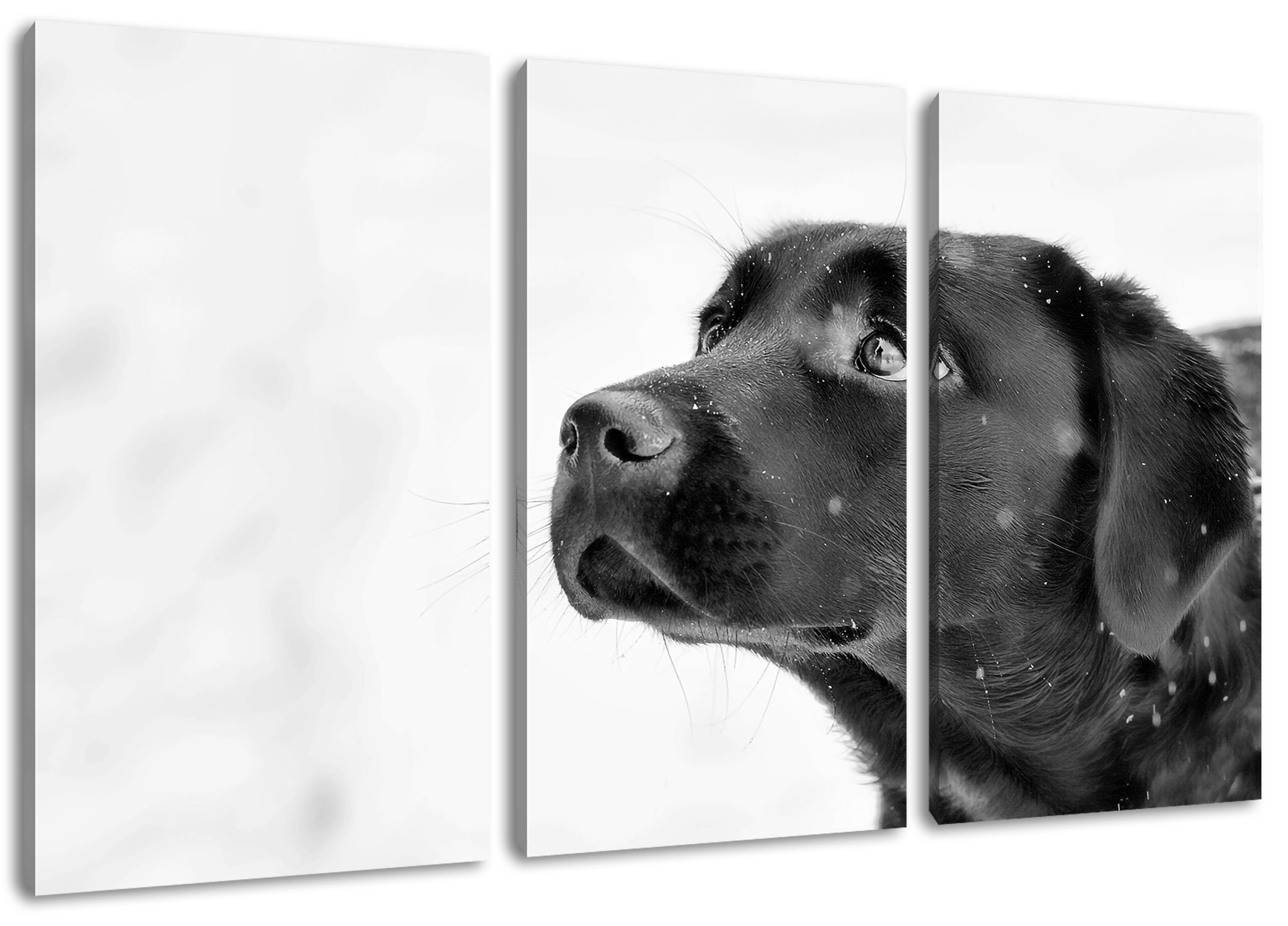 Pixxprint Leinwandbild Schwarzer Labrador im Schnee, Schwarzer Labrador im Schnee 3Teiler (120x80cm) (1 St), Leinwandbild fertig bespannt, inkl. Zackenaufhänger