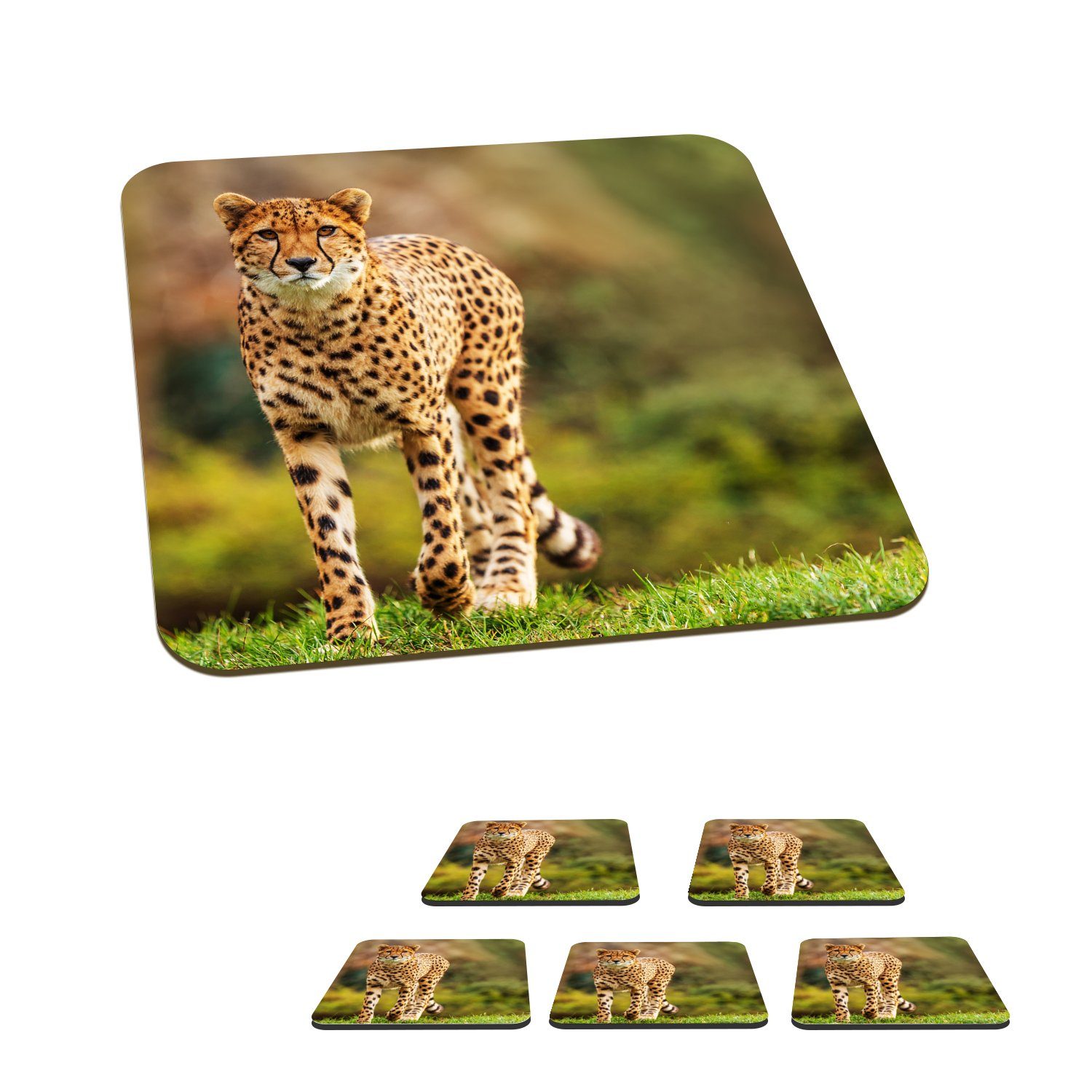 MuchoWow Glasuntersetzer Wildtiere - Gras - Leopard - Natur, Zubehör für Gläser, 6-tlg., Glasuntersetzer, Tischuntersetzer, Korkuntersetzer, Untersetzer, Tasse