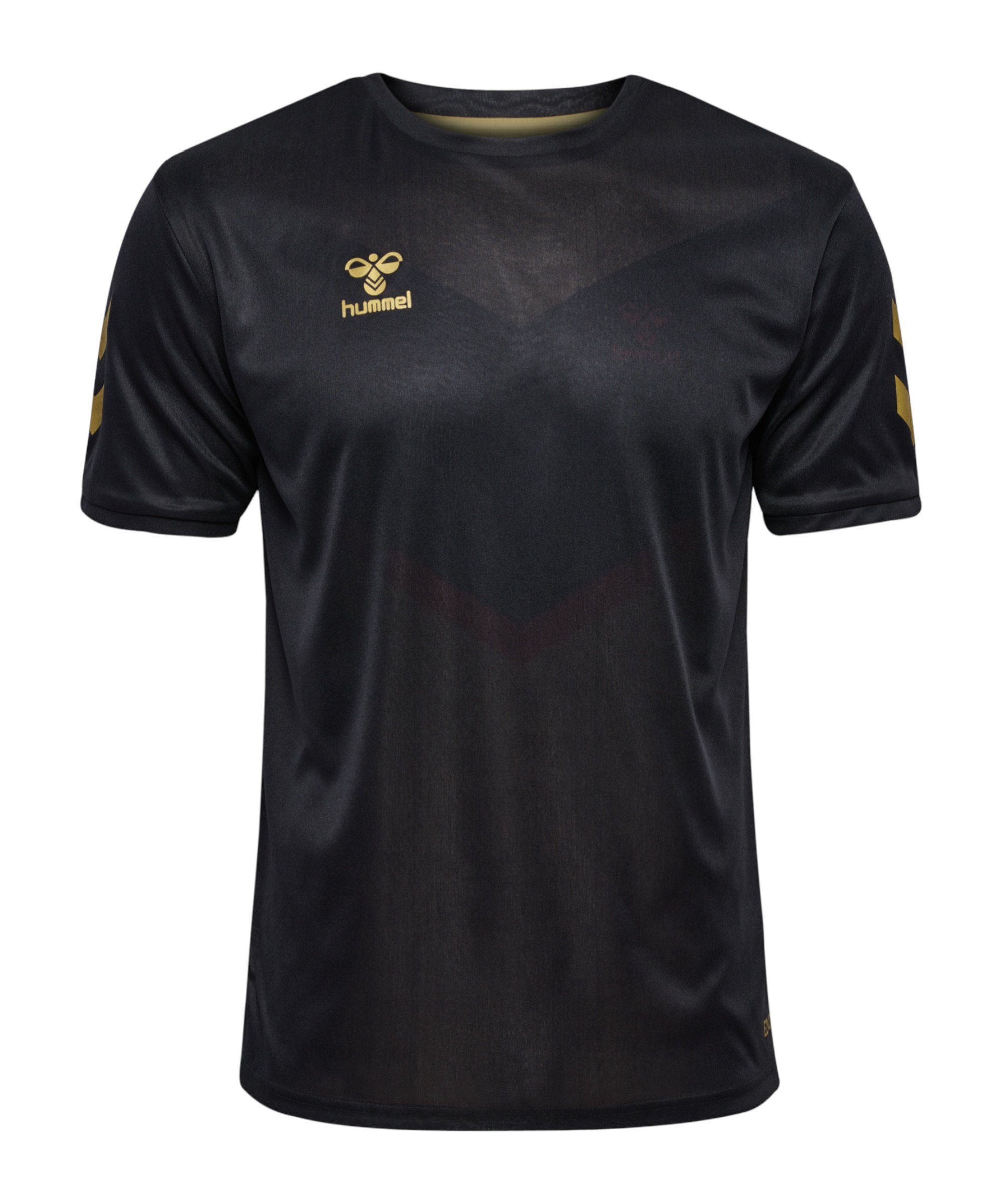 hummel Fußballtrikot Hummel hmlE24C Reversible Poly Trikot F2128 Teamsport