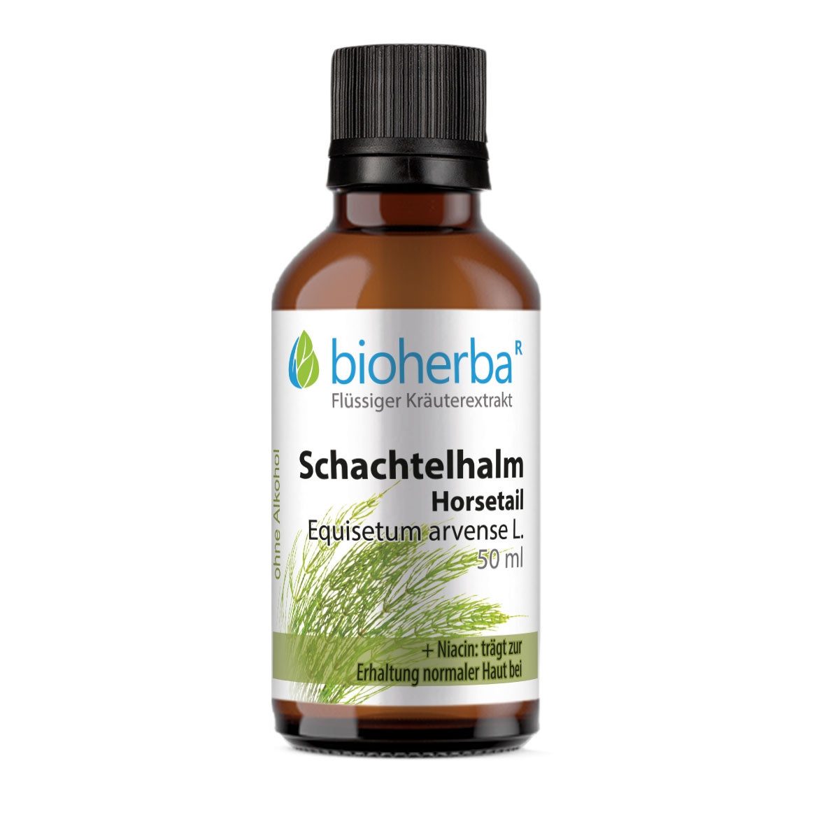 BIOHERBA R Schachtelhalm Horsetail Tropfen Tinktur 100 ml Nahrungsergänzungsmittel