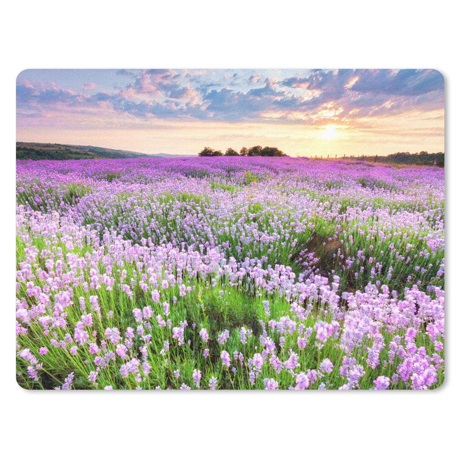 MuchoWow Mauspad Blumen - Lavendel - Lila - Himmel - Sonnenuntergang - Wiese - Natur (1-St), Gaming, Mousepad Klein, Büro Zubehör, Mausunterlage, 23x19 cm