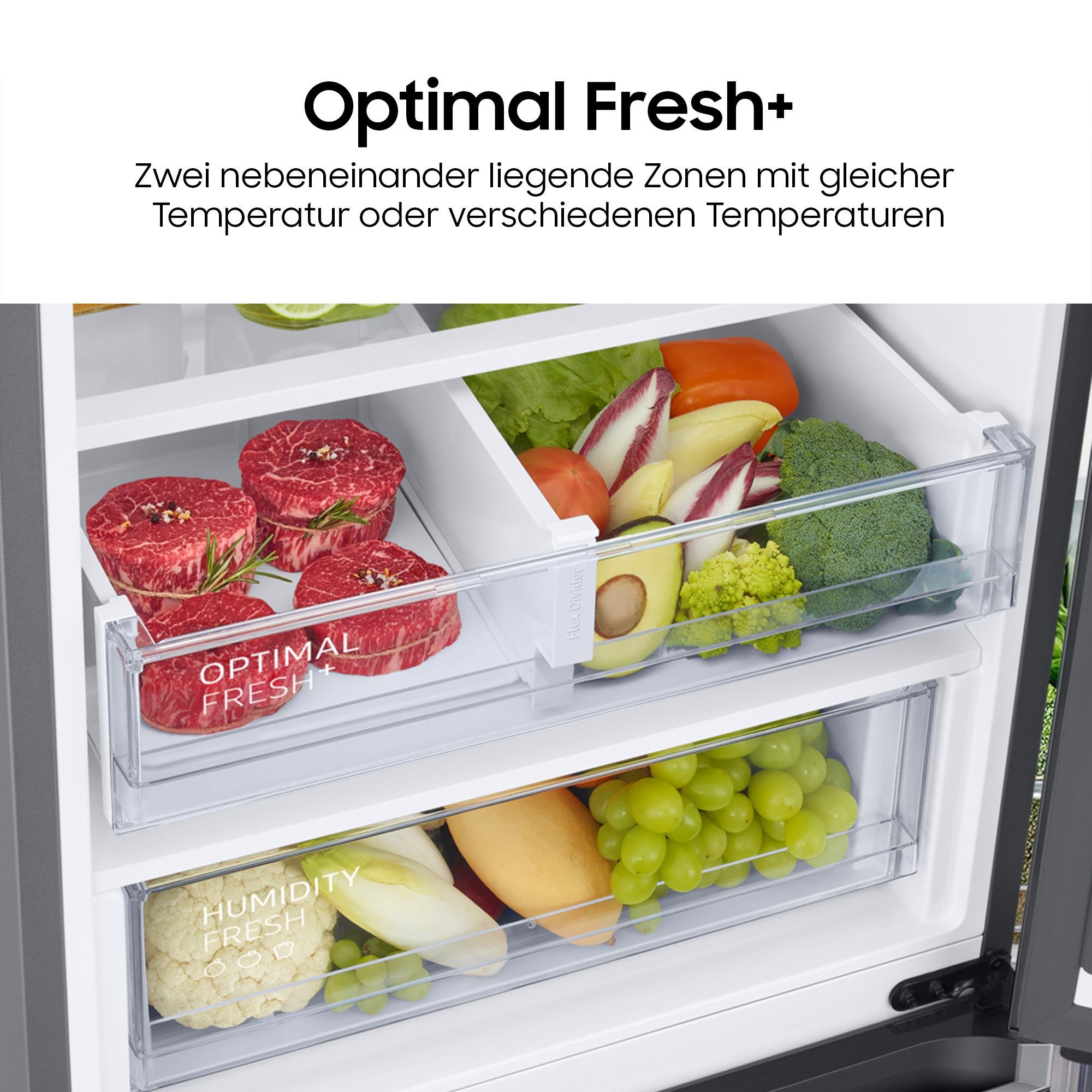 Samsung Kühl-/Gefrierkombination 7300A Serie RB38C607AS9, 203 cm hoch, 59,5 cm breit, No Frost+, SpaceMax, Wifi & AI Energy Mode – Bild 5 von 5