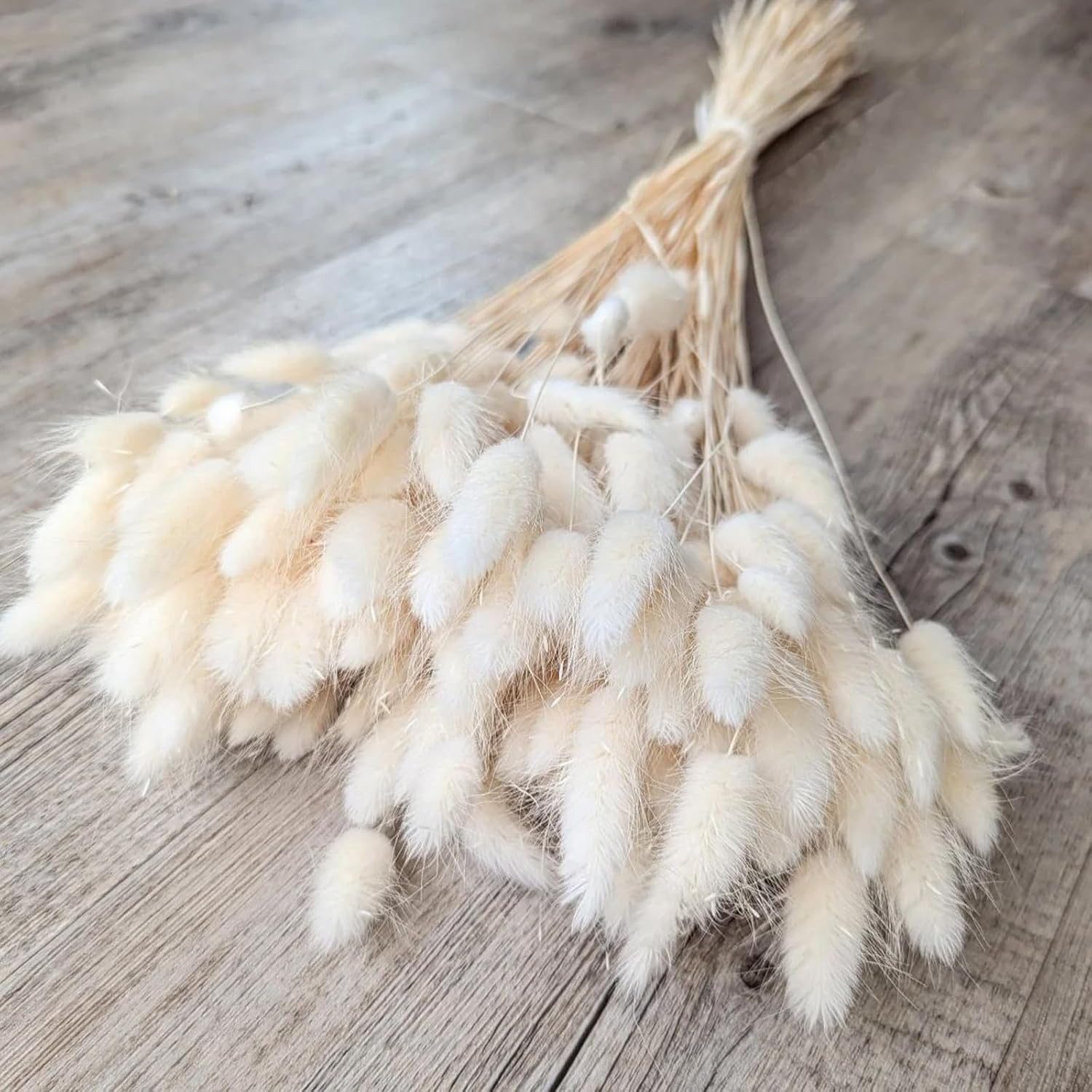 Kunstblume 120 Stück Pampasgras Klein, Hasenschwanzgras Getrocknet Pampasgr günstig online kaufen