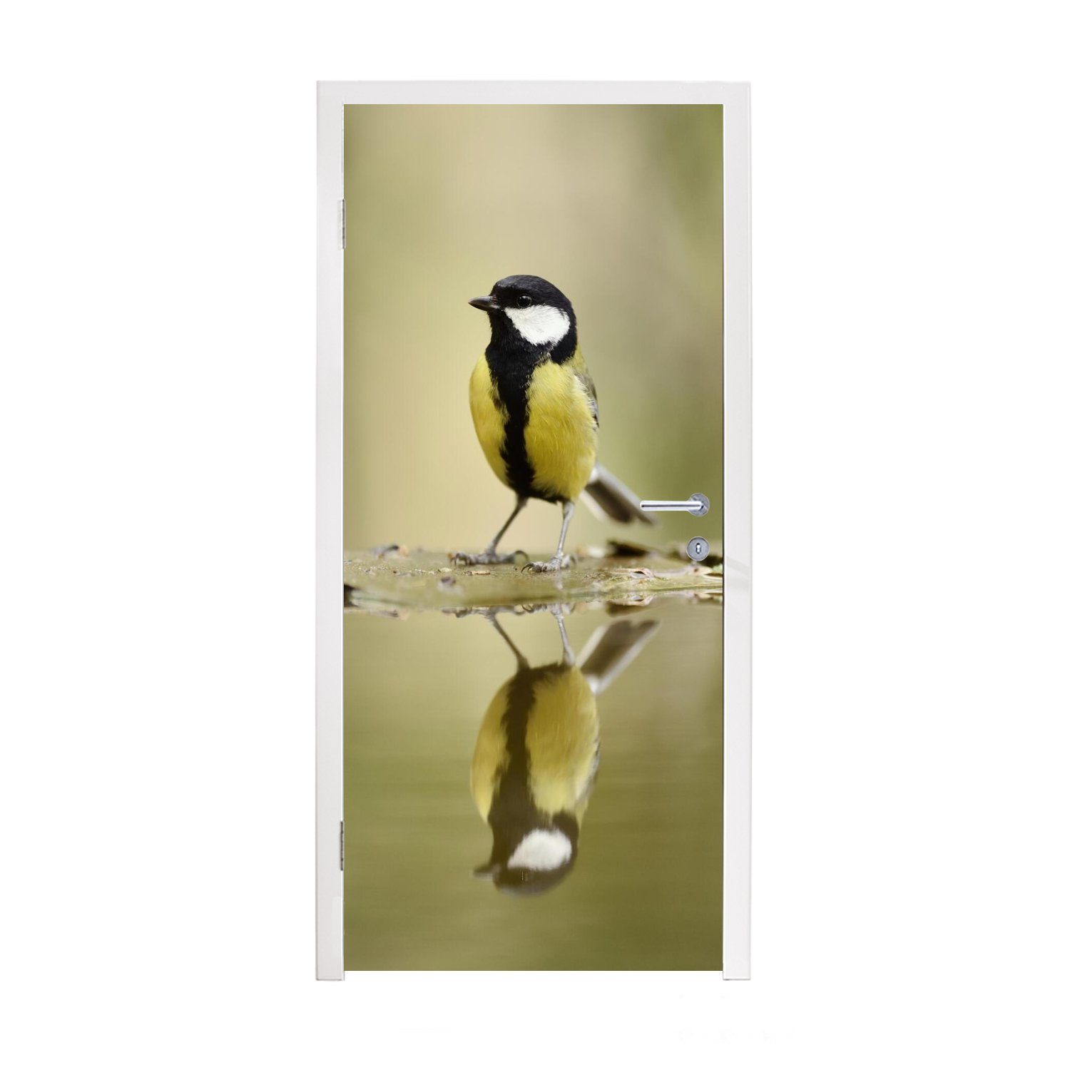 MuchoWow Türtapete Große Meise spiegelt sich im Wasser, Matt, bedruckt, (1 St), Fototapete für Tür, Türaufkleber, 75x205 cm