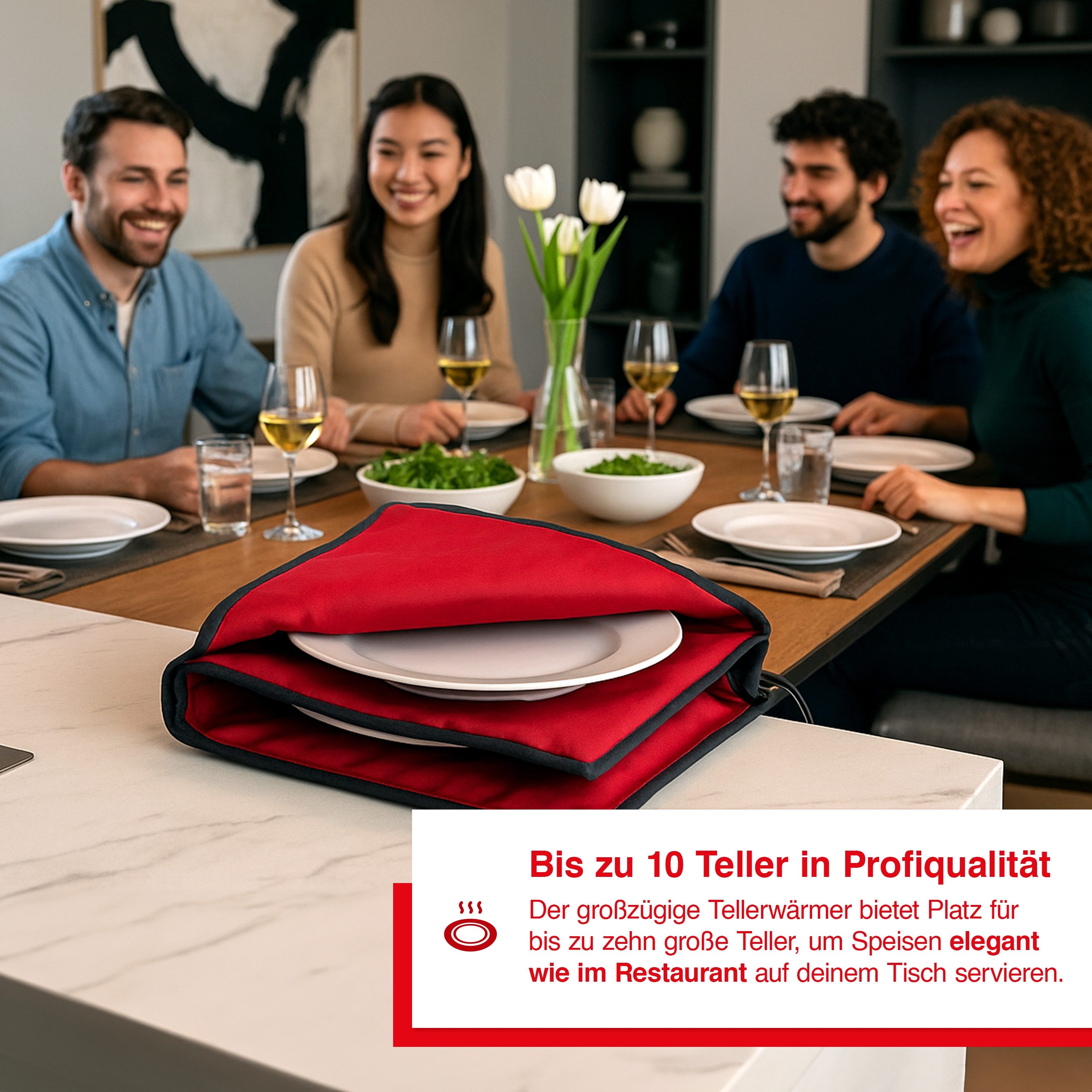 SOLIS OF SWITZERLAND Tellerwärmer Maxi Gourmet, Typ 8651, 10 Teller bis 32 cm, Überhitzungsschutz, Baumwolle