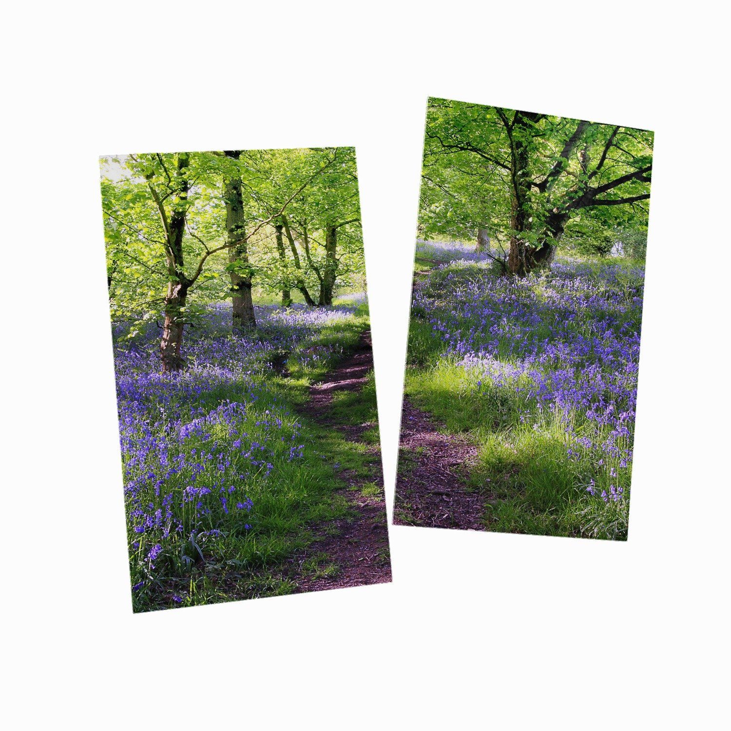 Größen Noppen), 2 Blaues Hasenglöckchen (Glasplatte, 5mm Herd-Abdeckplatte tlg., inkl. im ESG-Sicherheitsglas, verschiedene Wallario Wald,