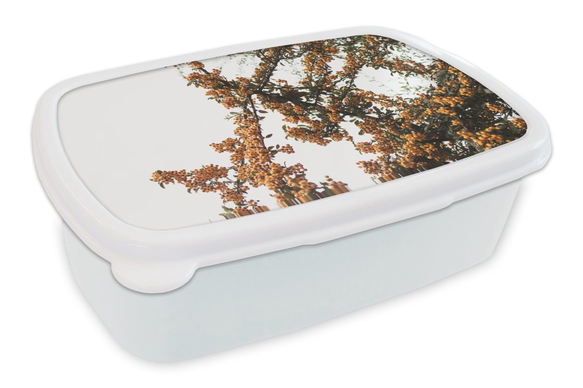 MuchoWow Lunchbox Blumen - Äste - Natur, Kunststoff, (2-tlg), Brotbox für Kinder und Erwachsene, Brotdose, für Jungs und Mädchen weiß | Lunchboxen