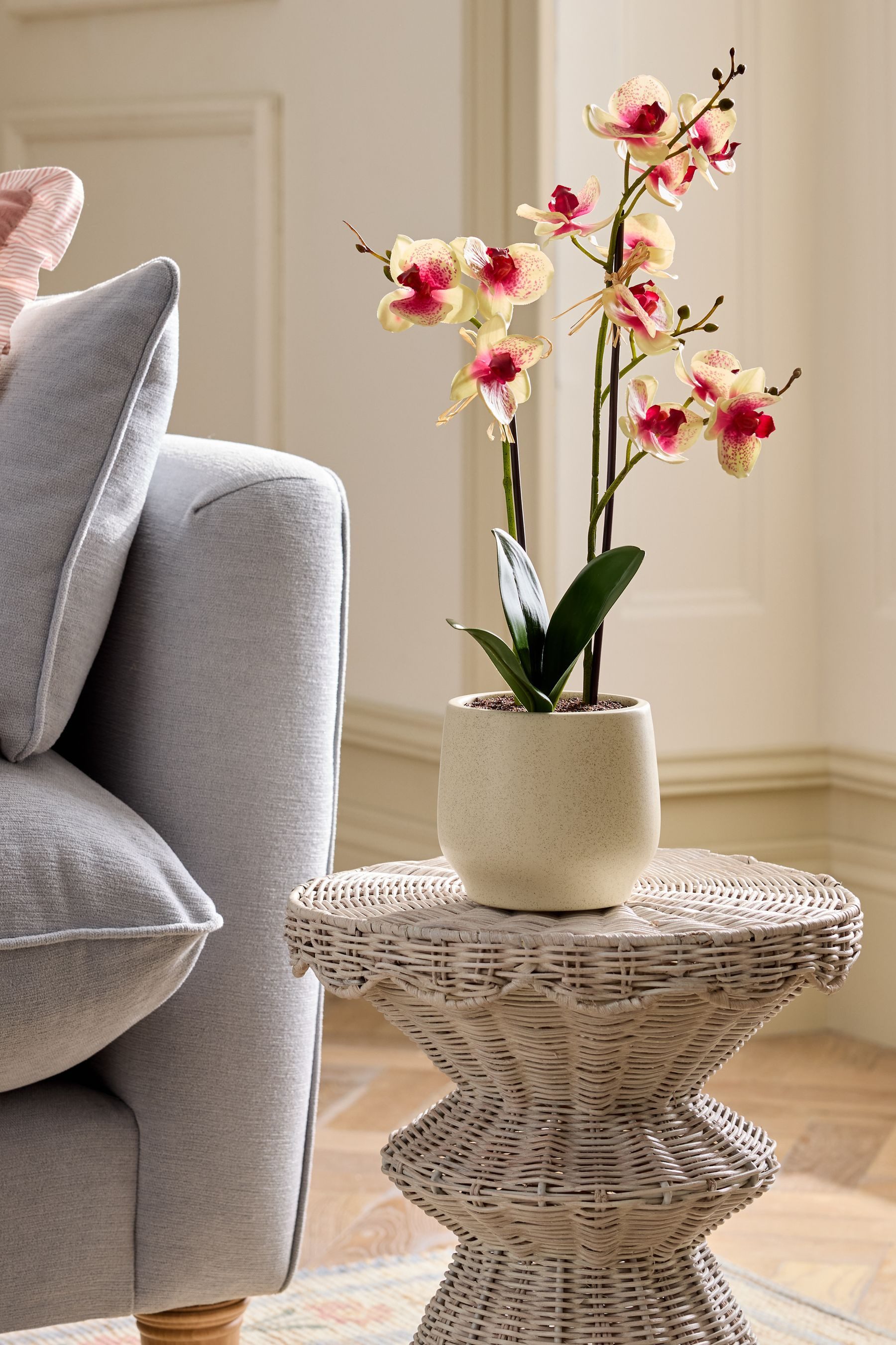 Kunstblume Künstliche Orchidee im Keramiktopf, Next