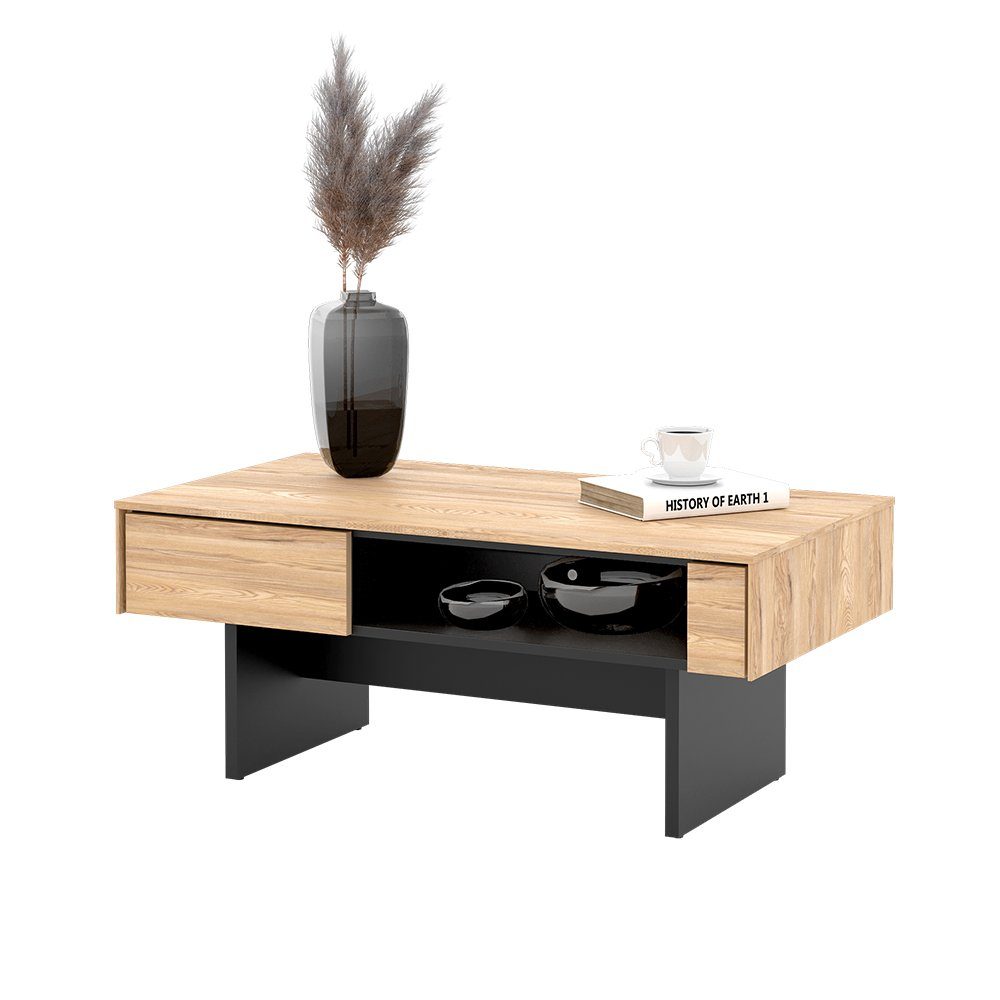 Compleo Couchtisch PORTO (Tisch für Wohnzimmer aus dem Regal) 110 x 46 x 60, Loft stil