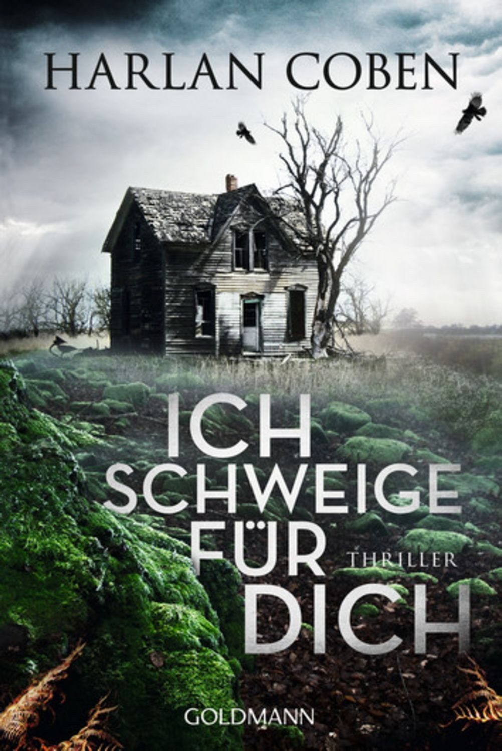 Ich schweige für dich / Harlan Coben