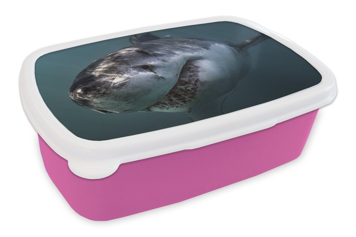 MuchoWow Lunchbox Hai - Weiß - Wasser, Kunststoff, (2-tlg), Brotbox für Erwachsene, Brotdose Kinder, Snackbox, Mädchen, Kunststoff rosa