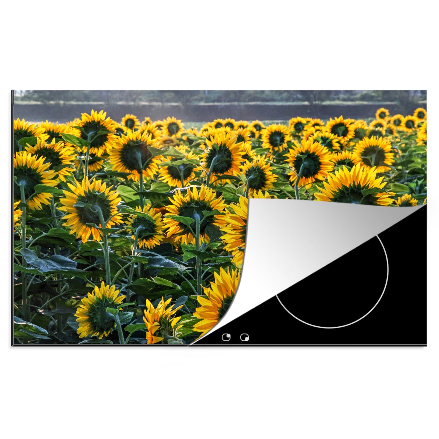 MuchoWow Herdblende-/Abdeckplatte Sonnenblumen - Frühling - Gelb, Vinyl, (1 tlg), 81x52 cm, Induktionskochfeld Schutz für die küche, Ceranfeldabdeckung