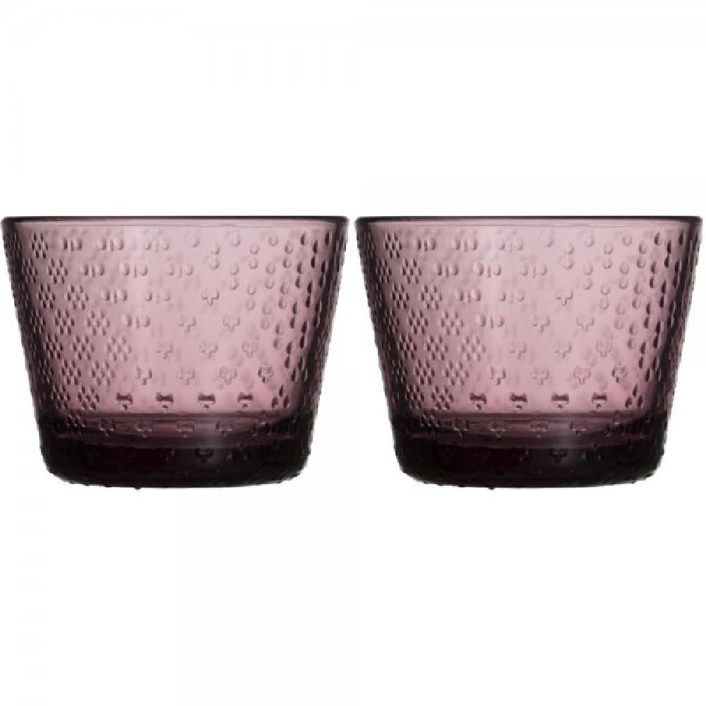 IITTALA Leerglas Trinkgläser Tundra Calluna (Klein) (2-teilig)