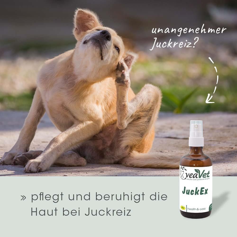 cdVet Fellpflege VeaVet JuckEx, 100 ml, rein natürliches und wohltuendes Pflegespray