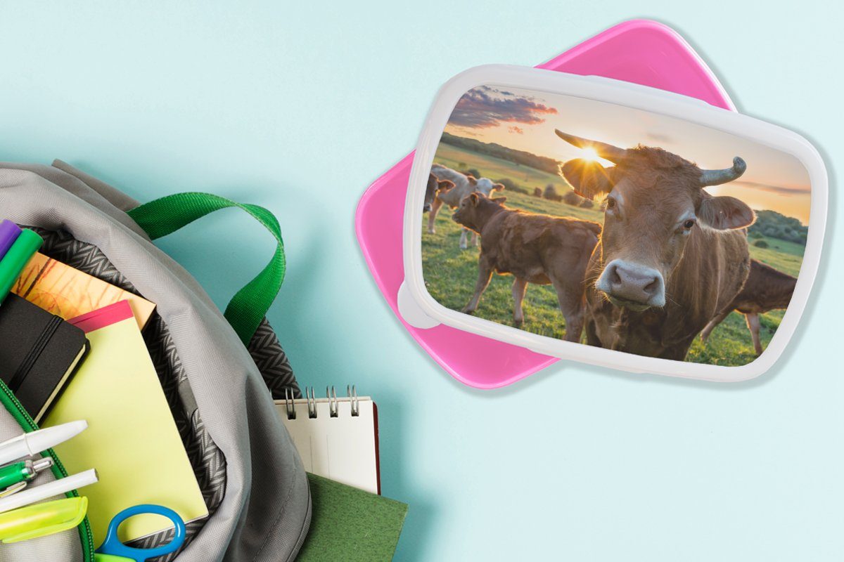 rosa Lunchbox Kunststoff Brotbox Snackbox, Mädchen, - Kunststoff, Brotdose Kinder, - Sonne Erwachsene, MuchoWow (2-tlg), - für Landleben, Wiese Kühe