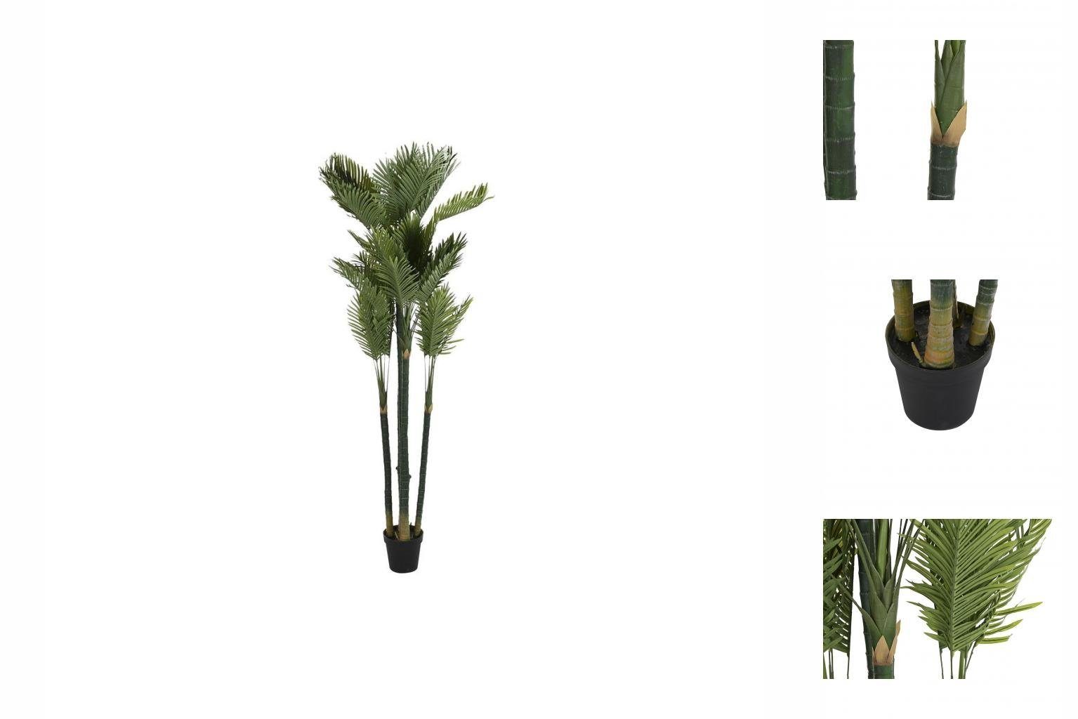 DKD Palme DKD cm, 100 Decor, 230 cm Höhe Home Zimmerpflanze 100 x Decor 28 Künstliche Dekorationspflanze x Home