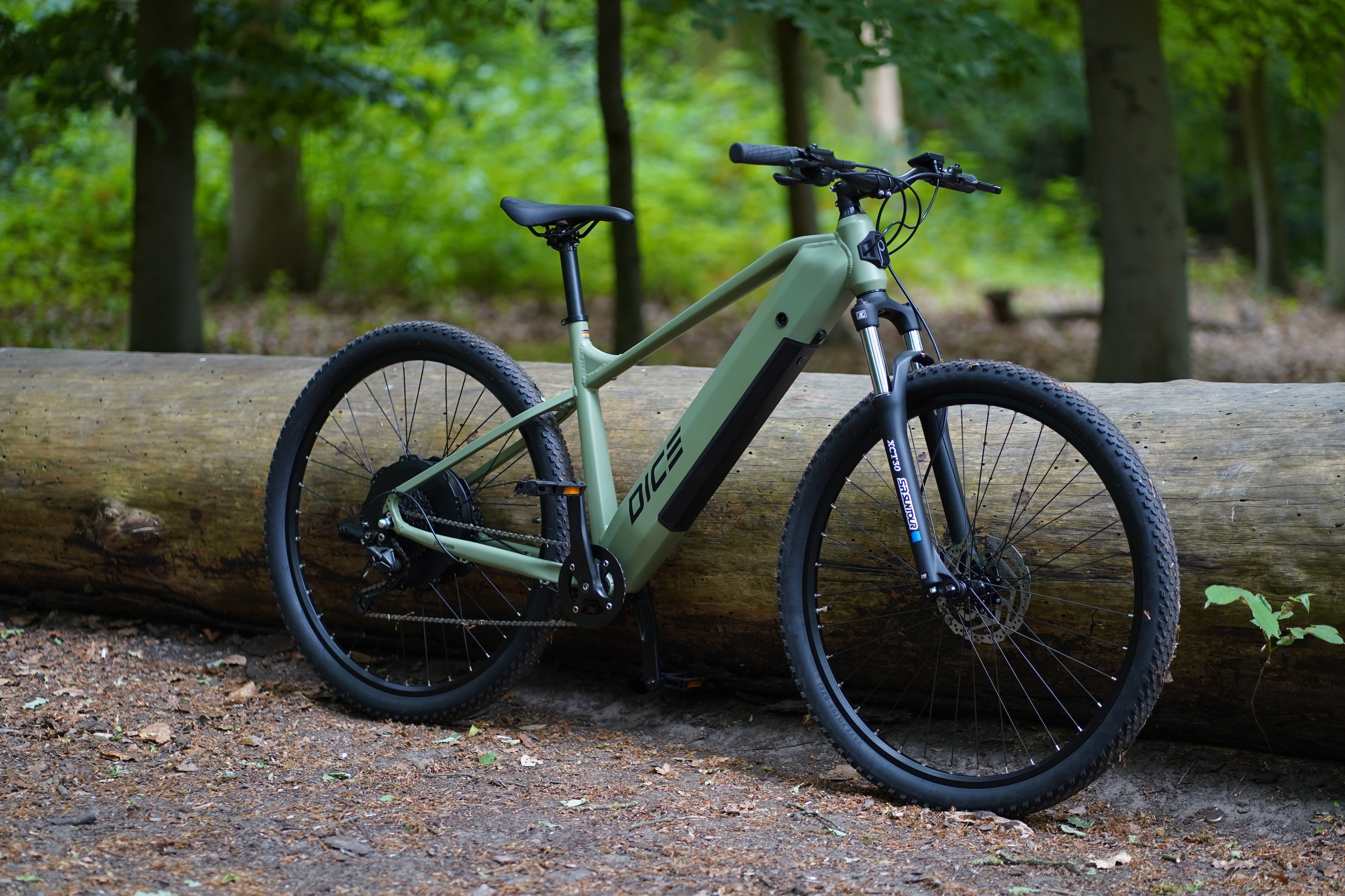 E-Bike Mountainbike Dice 2.8